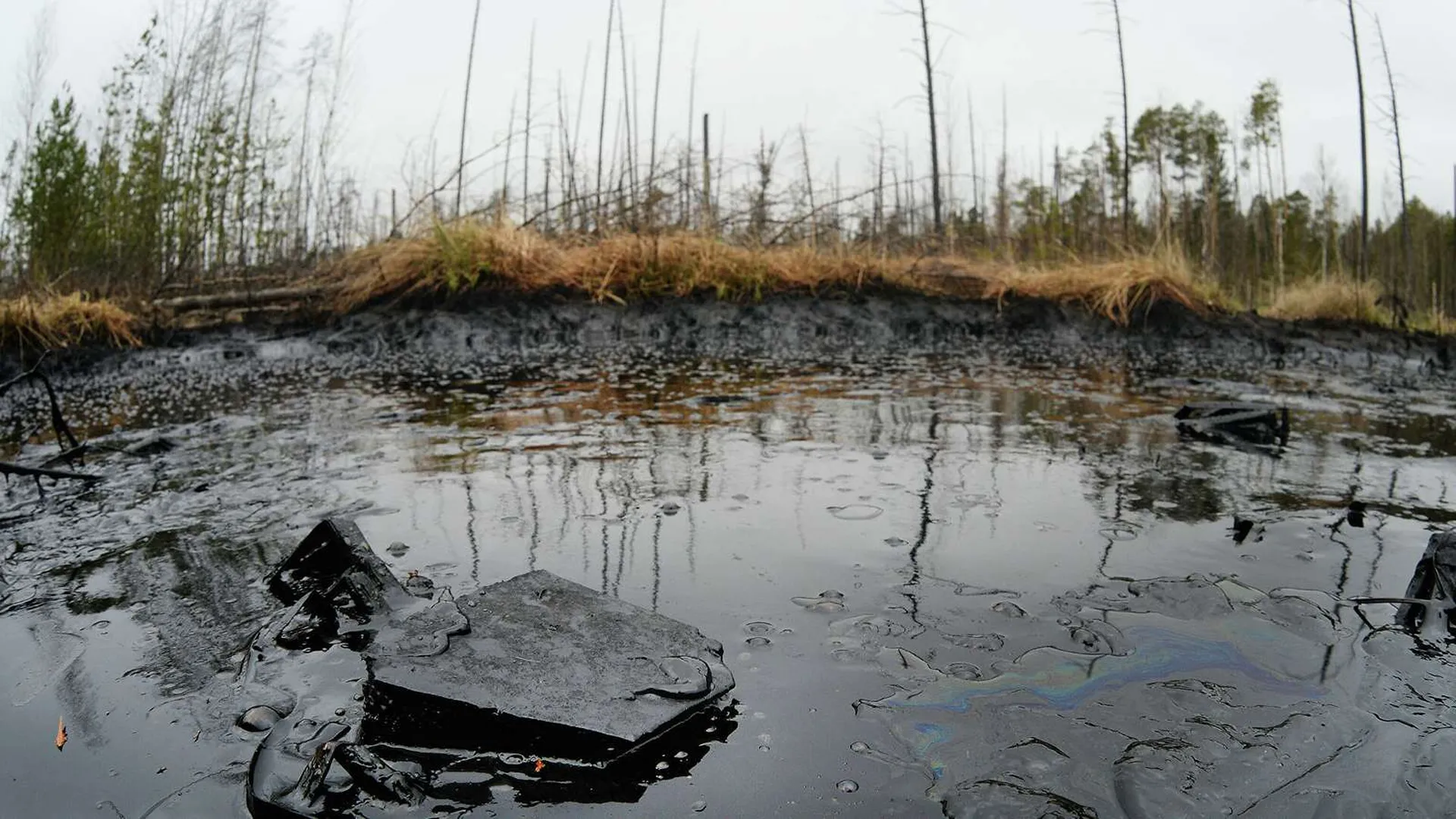 Прокуратура проверит ЧП с разливом нефти в порту Новороссийска
