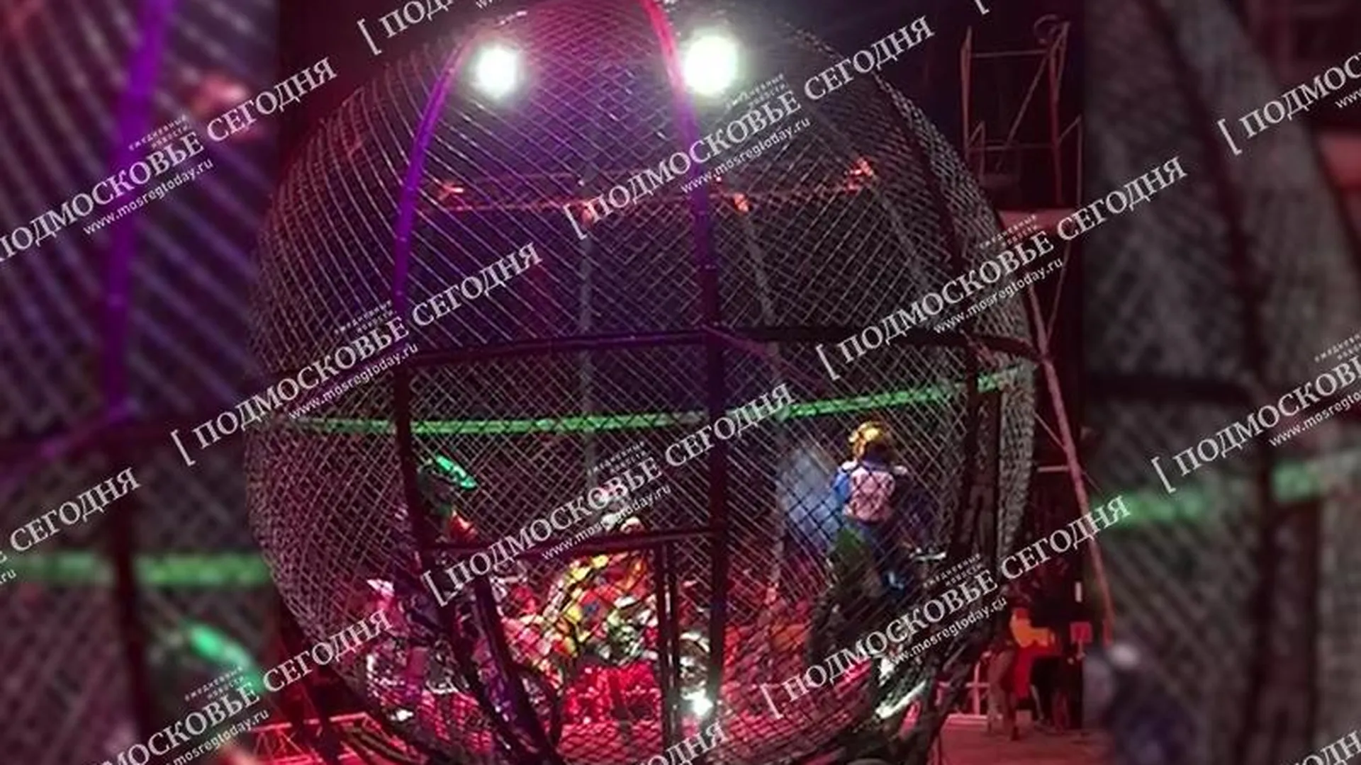 Каскадеры-колумбийцы пострадали при исполнении циркового трюка в Долгопрудном