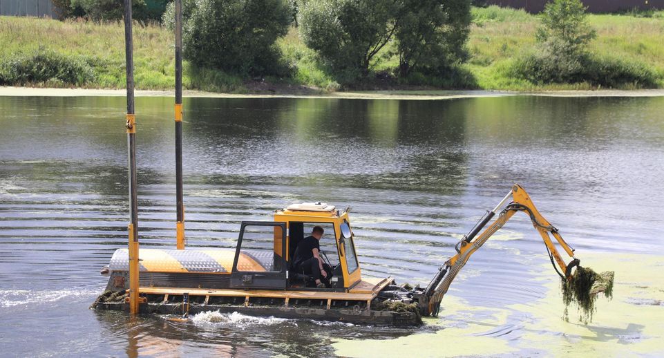 Пруд в поселке Новая Ольховка очистят от мусора и водорослей