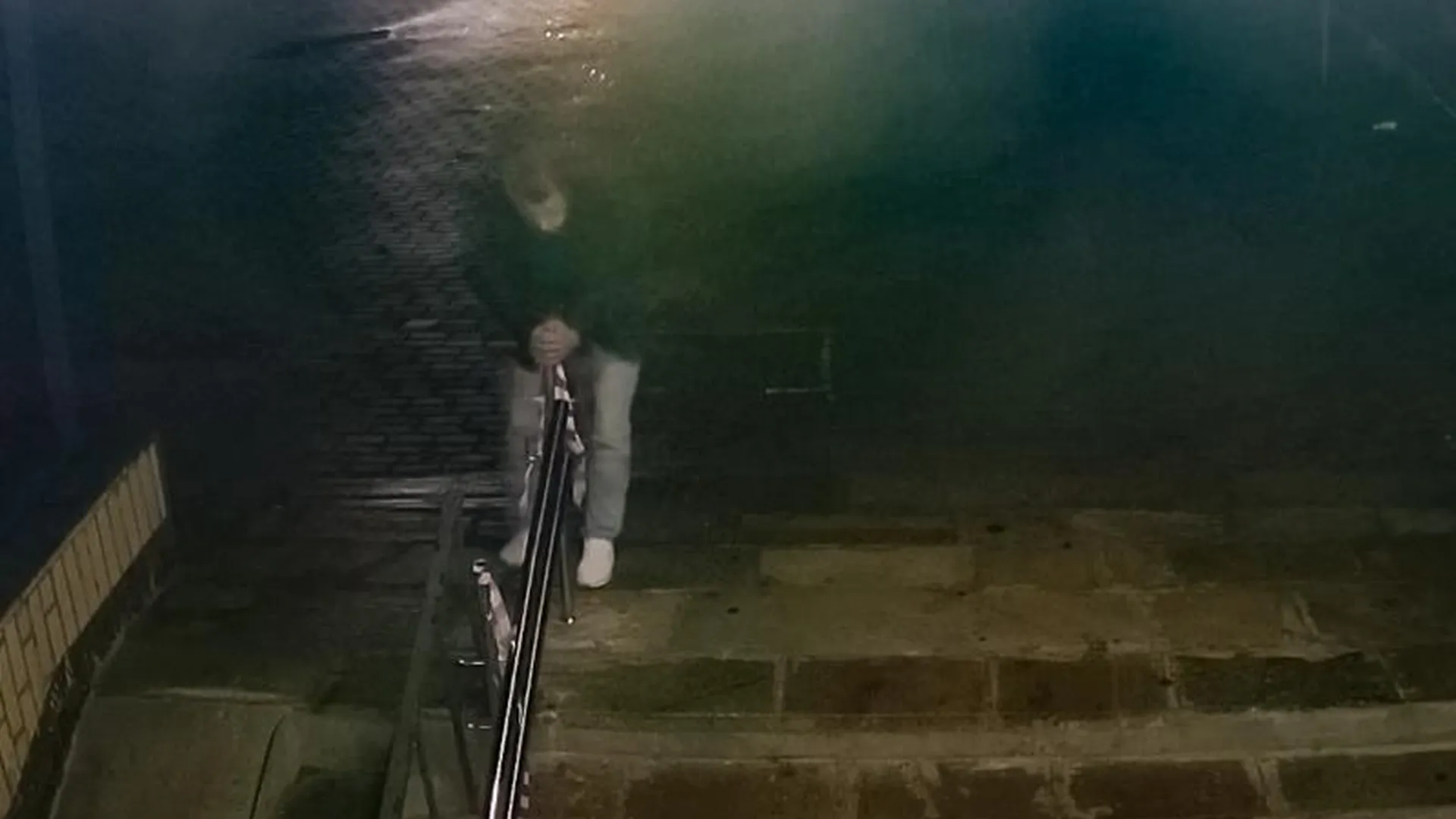Ночной вандал атаковал подземный переход в Одинцово