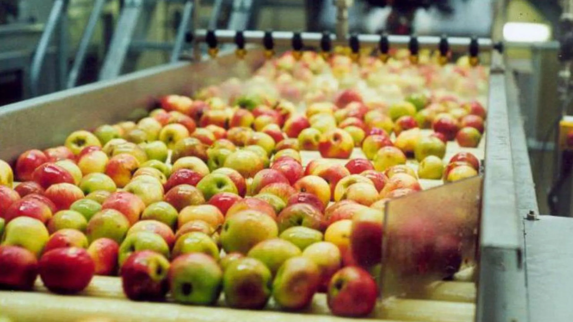 Агрокомплекс «Михайловское» будет производить до 200 литров негазированных яблочных напитков в сутки