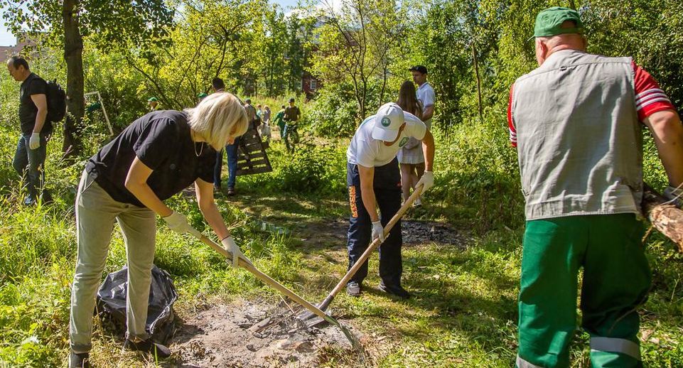 Экологическая акция «Чистый лес» пройдет в Одинцовском округе 13 июля