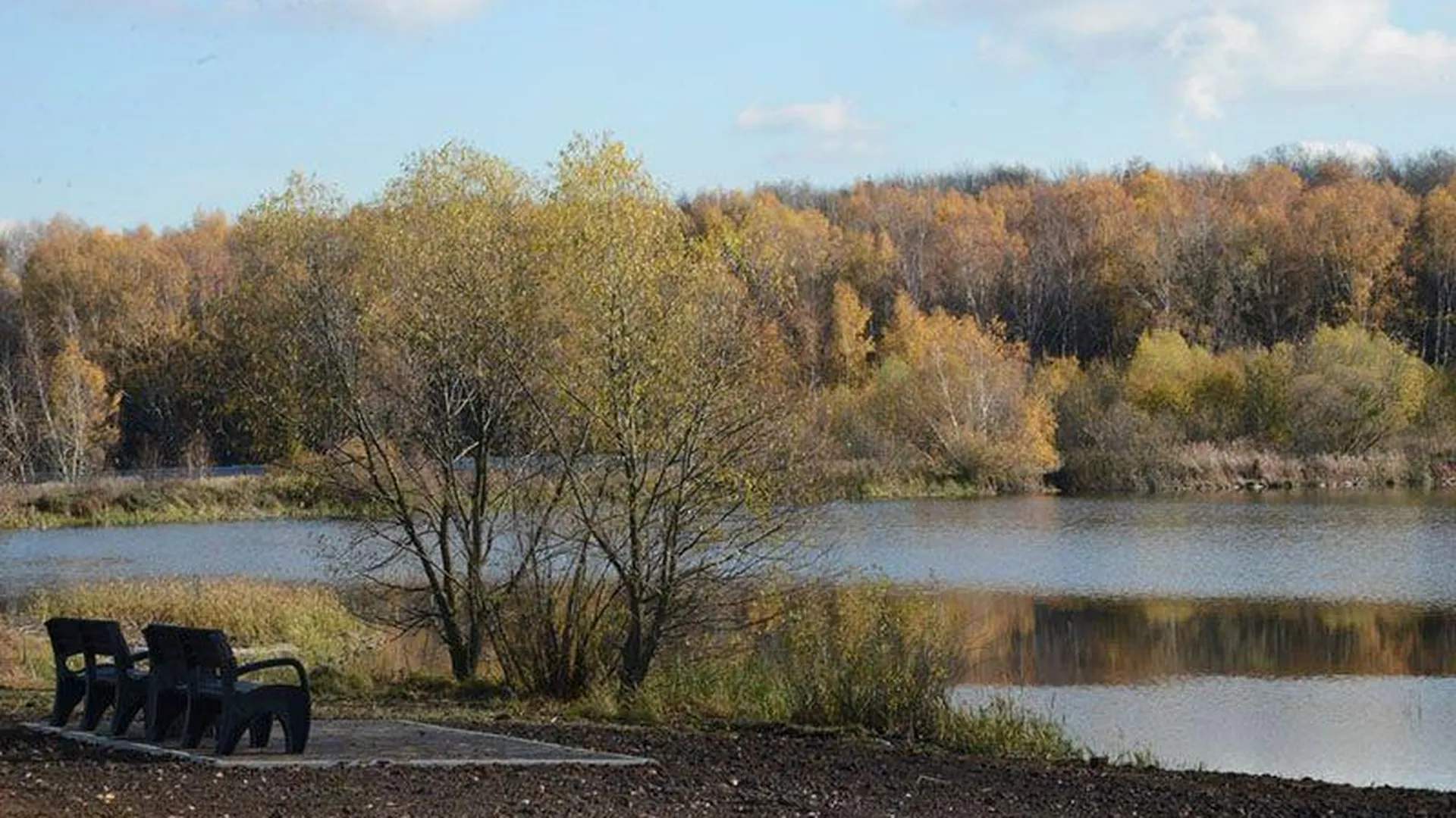 Два водоема расчистят в Городском округе Коломна в этом году по программе «100 прудов и озер»