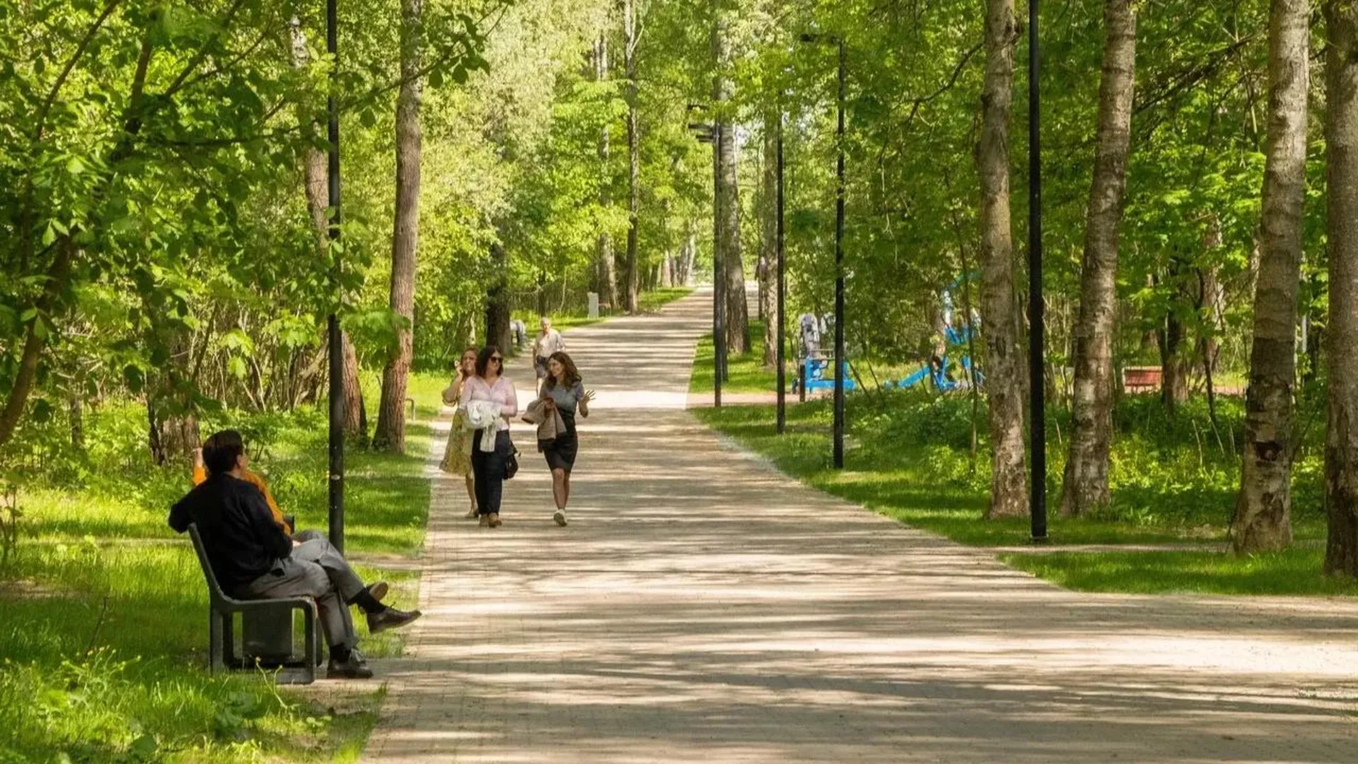 Прогулка в парке для отдыха. Прогулка в парке для отдыха