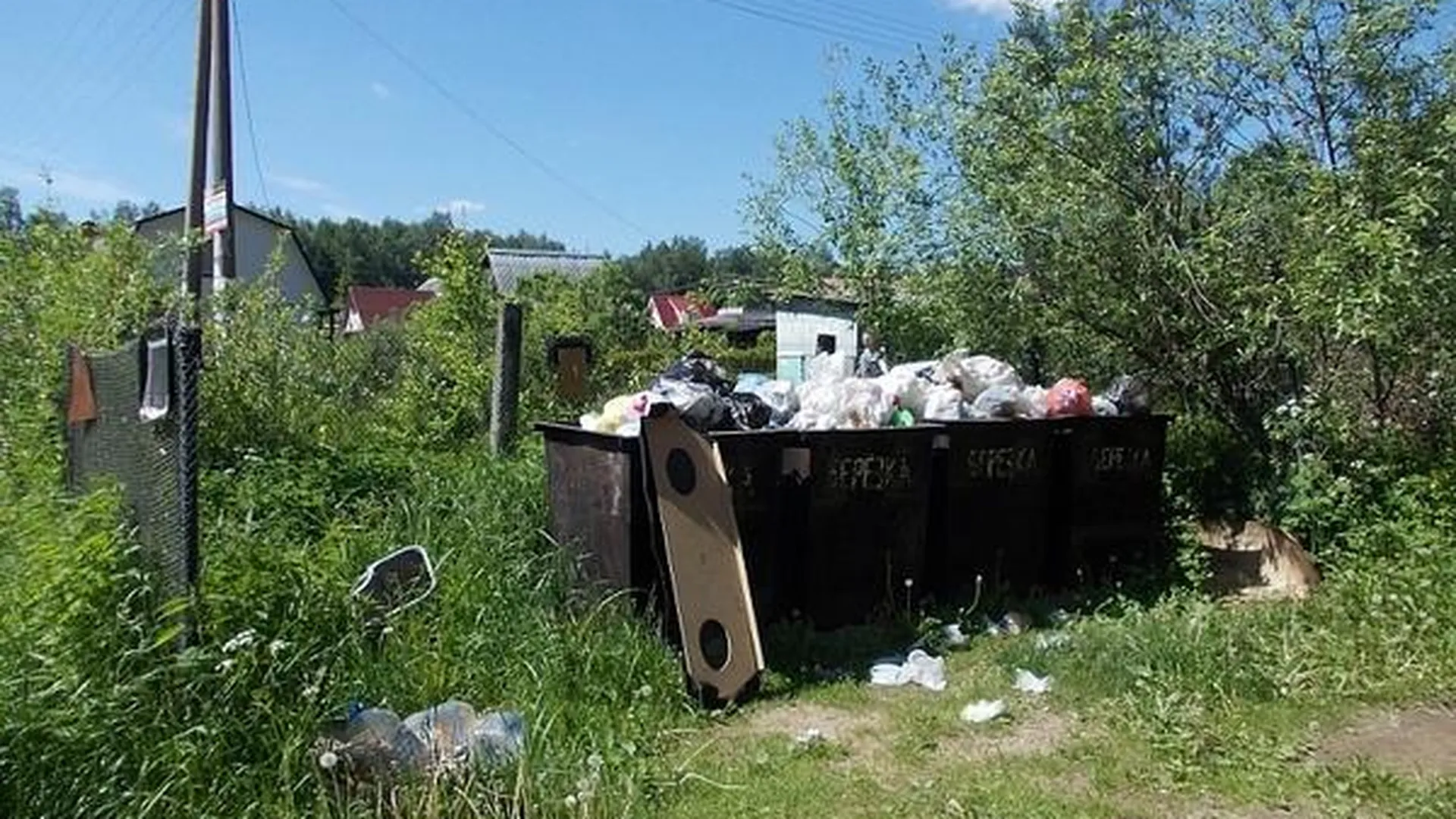 Дачники в Талдомском районе заплатят 60 тыс руб штрафов за мусор