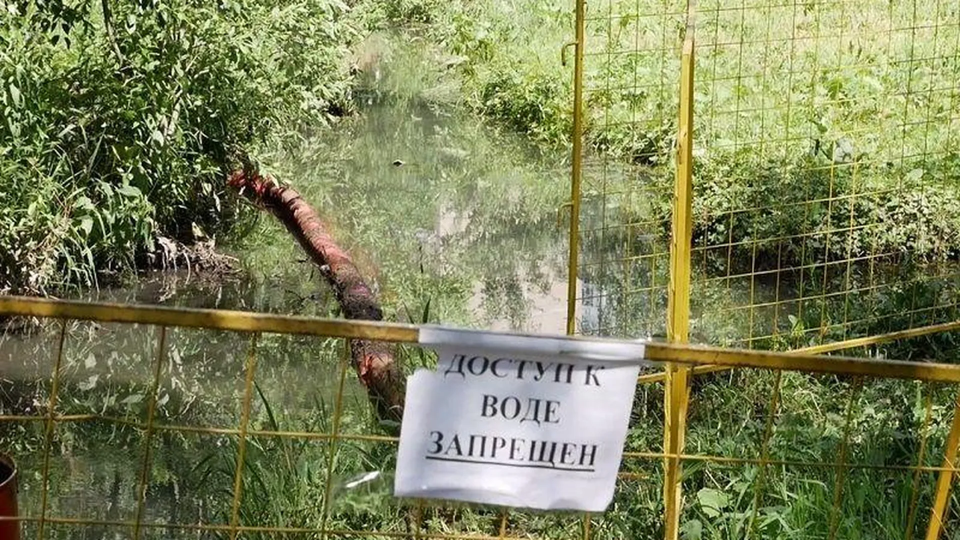 Сотрудники Лобненского водоканала обнаружили колодец, в который злоумышленники сбросили химвещество, попавшее в реку