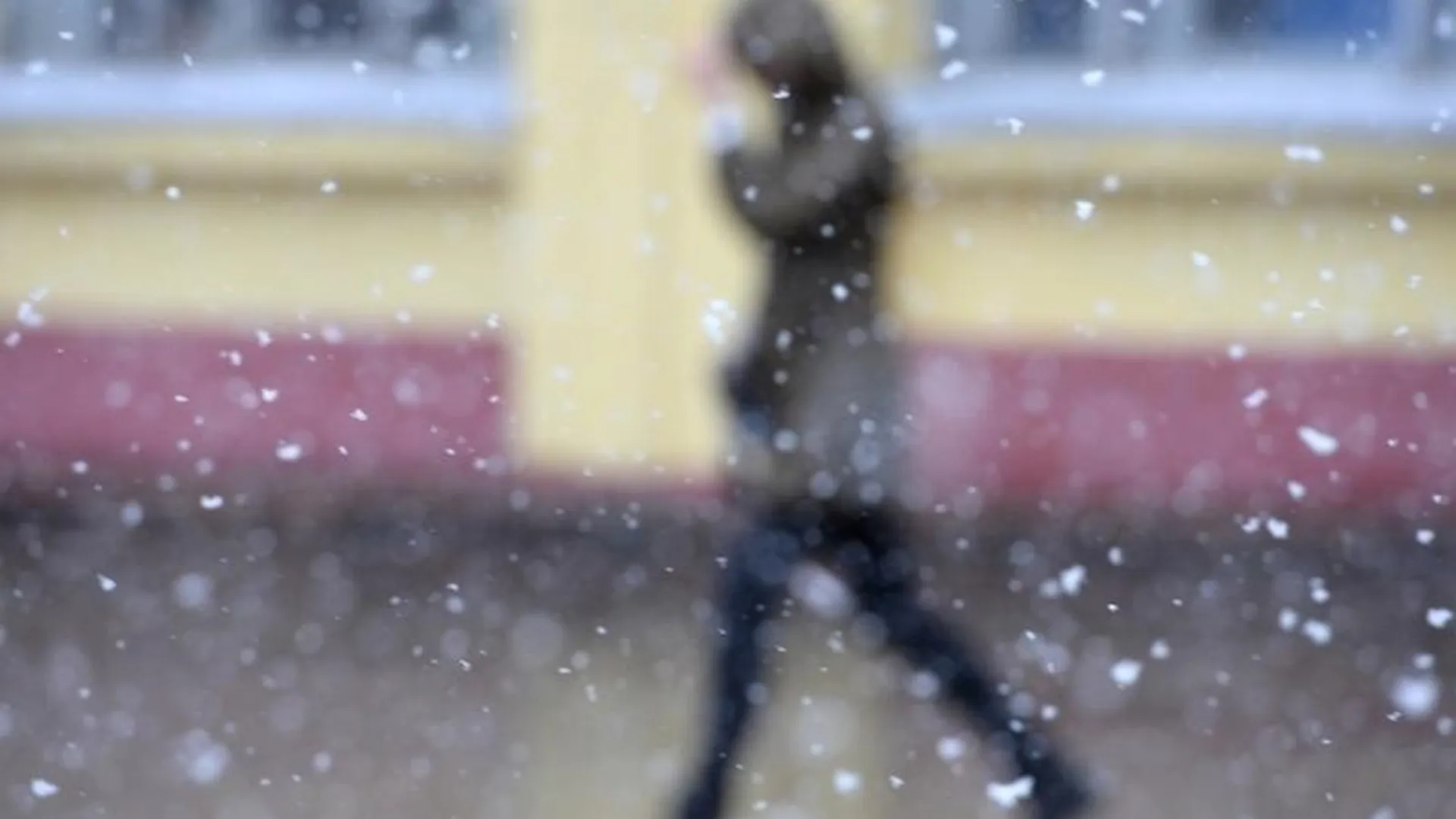 Спасатели предупреждают о сильном ветре с мокрым снегом в Подмосковье