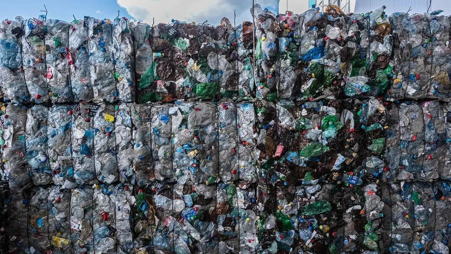 В Курганской области за 1,1 млрд рублей построят комплекс переработки отходов
