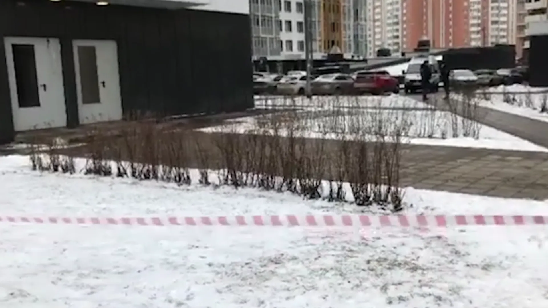 «Пришла сомнительная подруга»: очевидцы — о падении младенца из окна в Новой Москве