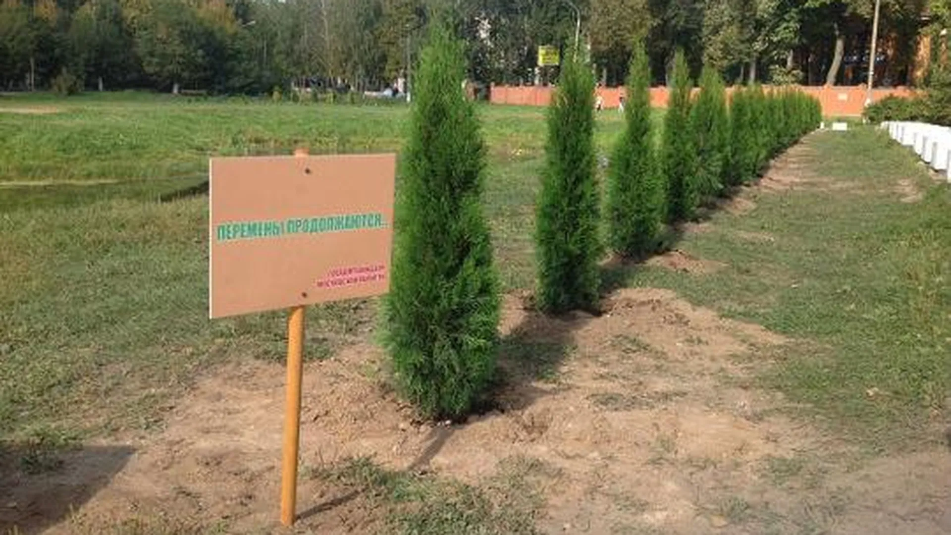 Госадмтехнадзор МО высадил 30 деревьев в Лосино-Петровском