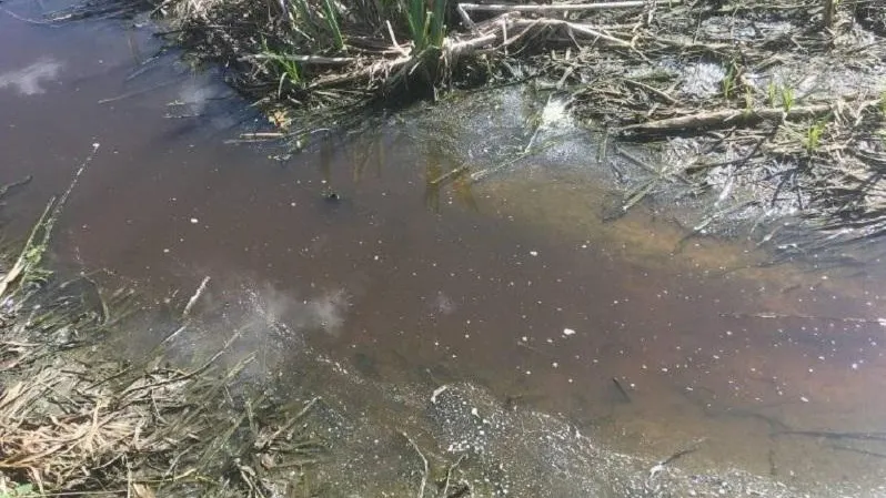 Многомиллионный ущерб притоку реки Смородинки взыскивают с кооператива в Наро-Фоминском округе