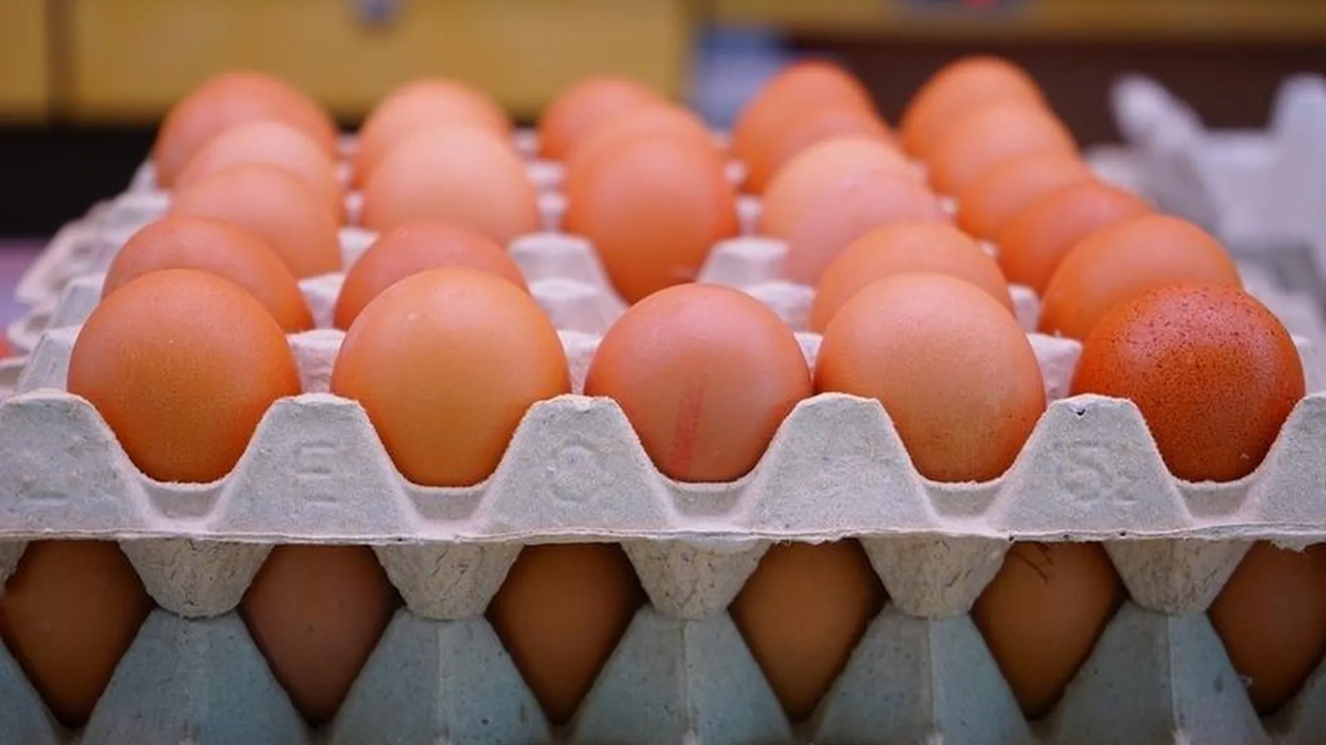 Фальшивые куриные яйца из Китая не попали в Подмосковье – Роспотребнадзор