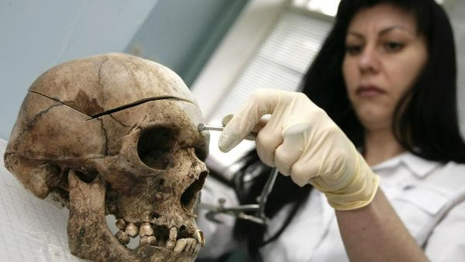Человеческие кости нашли в лесу Ногинского района
