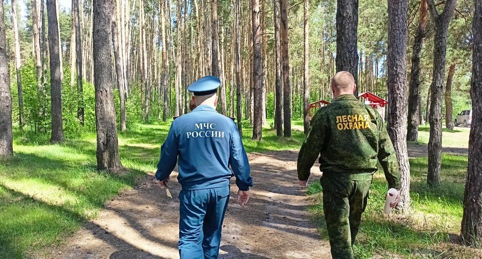Сотрудники Комлесхоза Подмосковья провели 71 патрулирование 25 мая