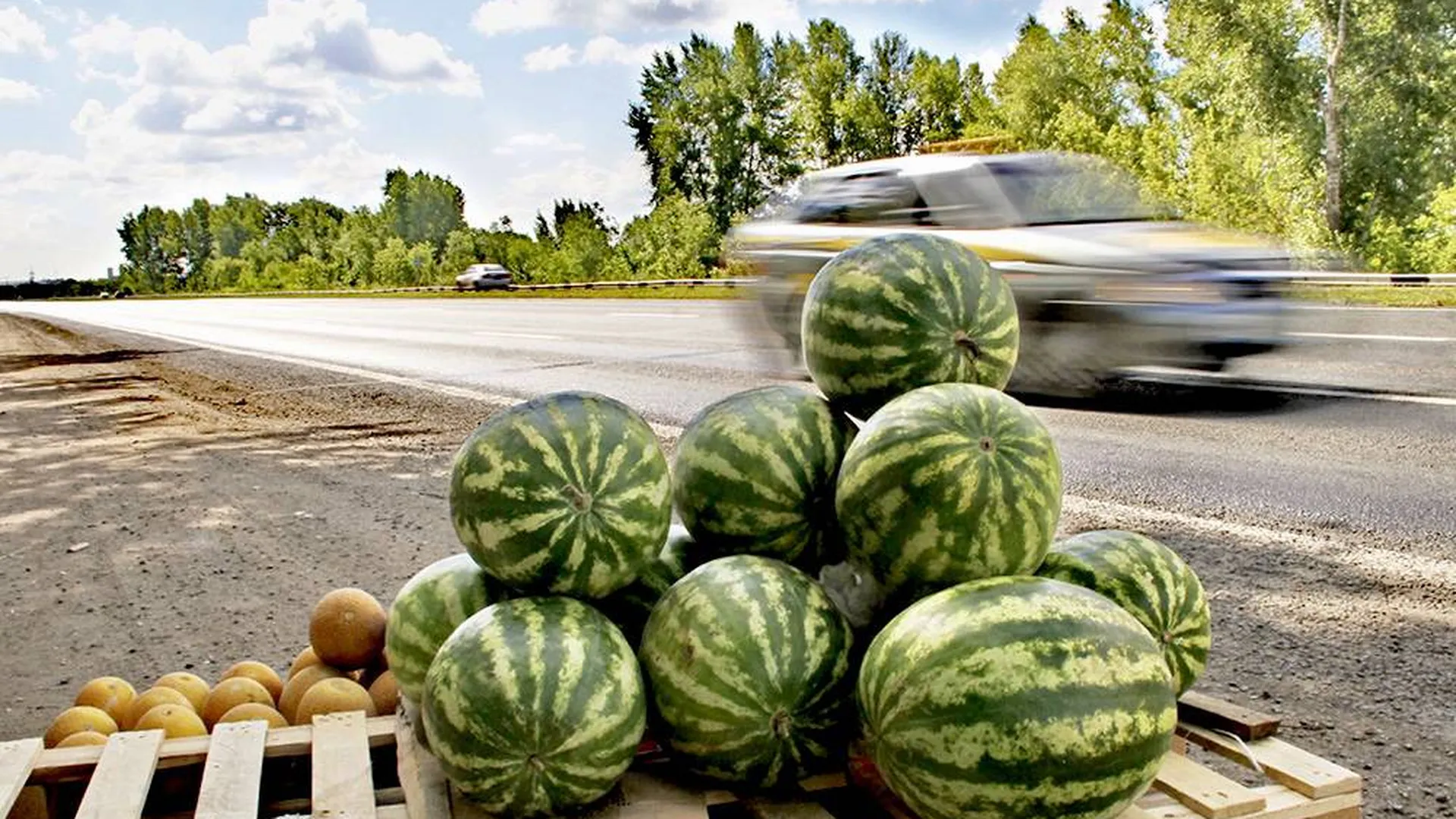 Где Купить Арбуз В Марте
