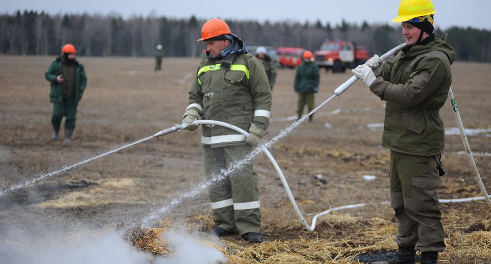 Четвертый класс пожарной опасности споргнозировали в Подмосковье до 5 июня