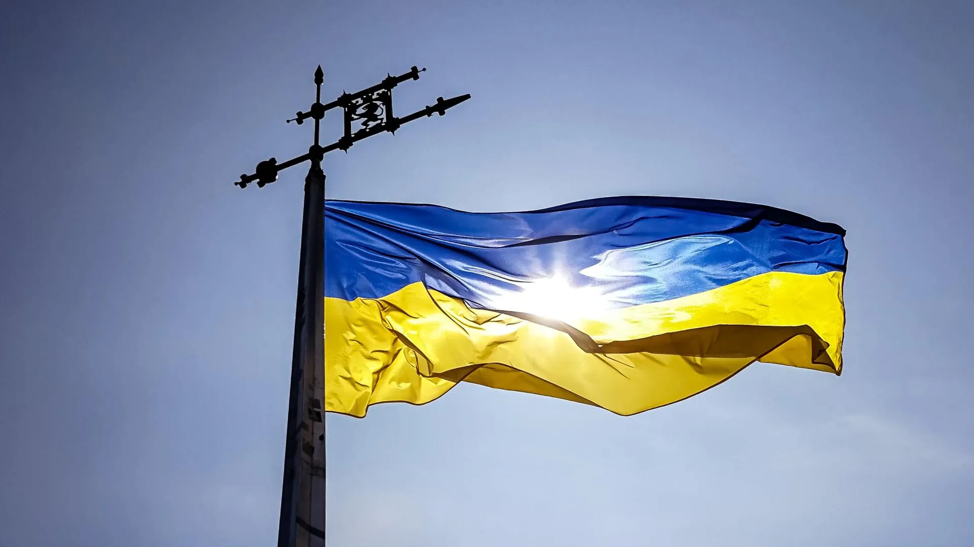 На Украине разразился скандал из-за прототипа киберпомощника МИД Розали Номбре