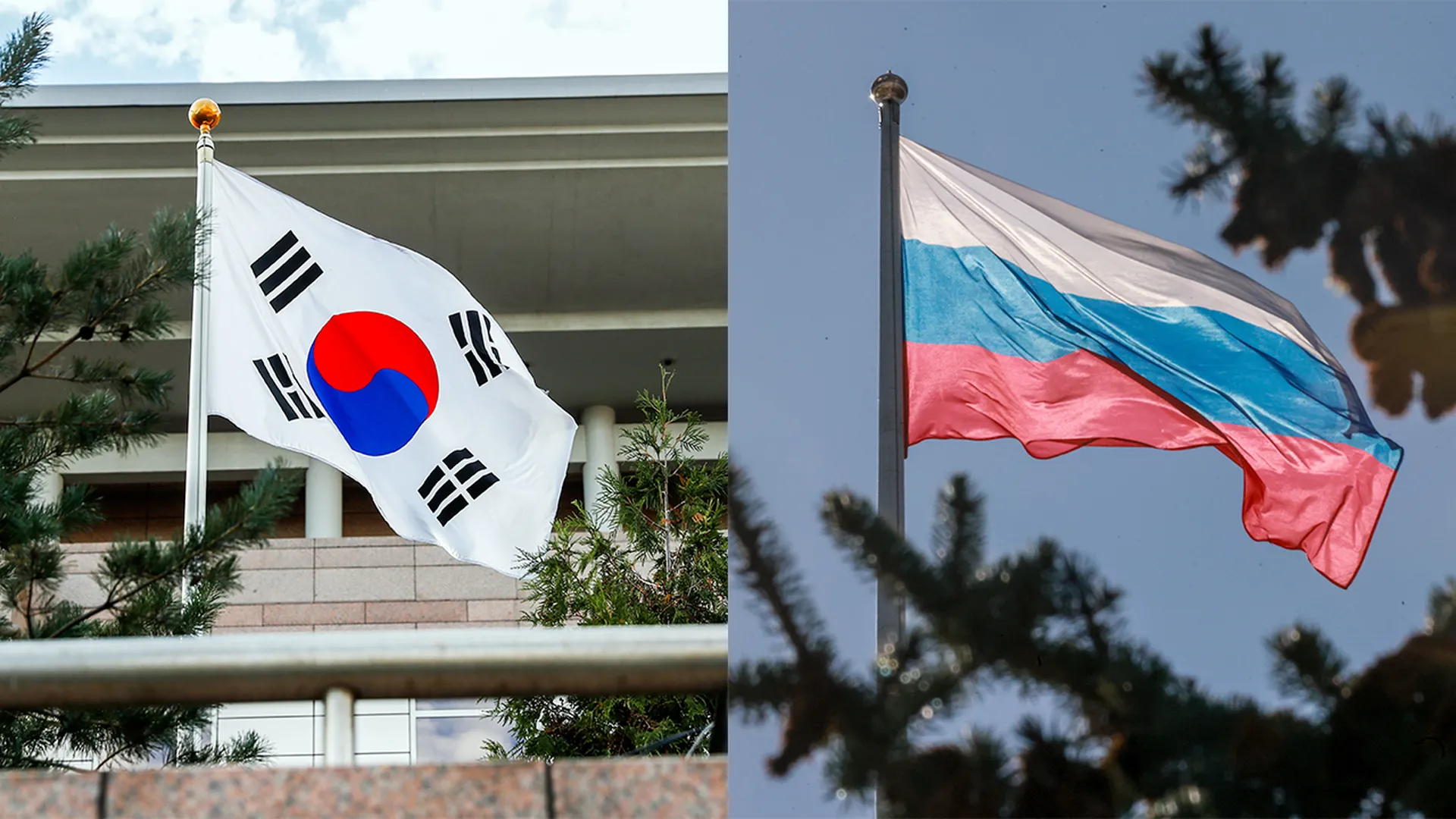 Политолог Маркелов рассказал, чем Россия важна для Южной Кореи