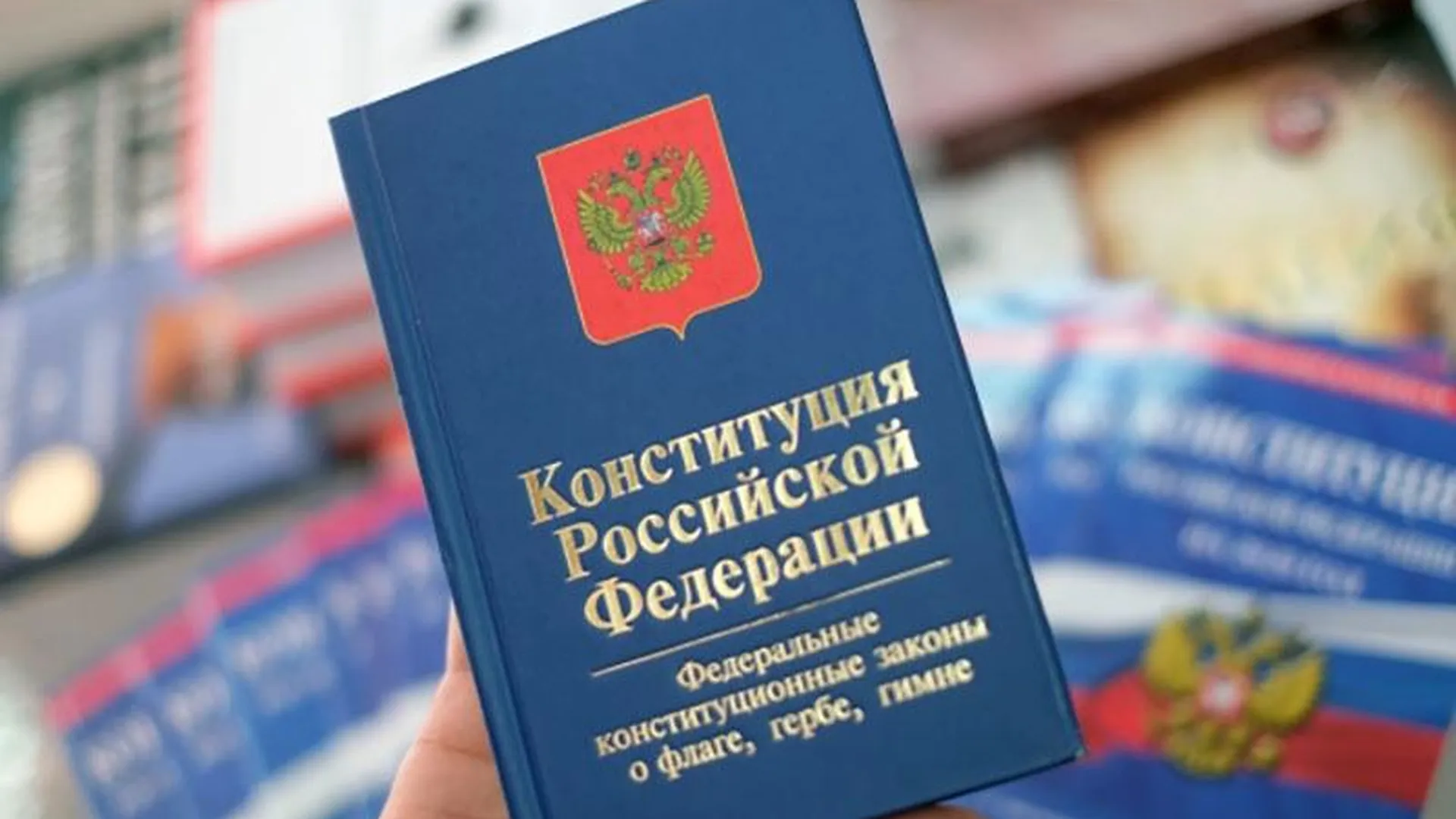Жители Подмосковья смогут проголосовать за поправки в Конституцию бесконтактно на дому 