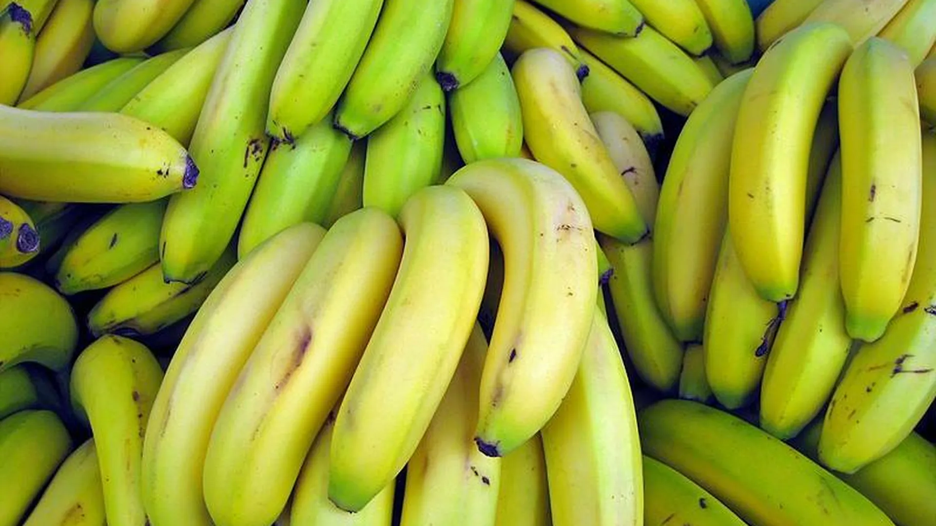 Ученые: бананы помогают бороться с вирусными заболеваниями
