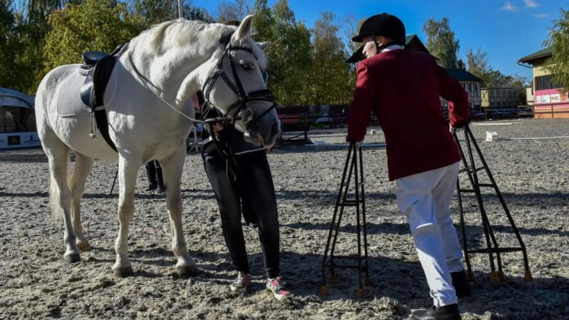 Всероссийский конно-спортивный фестиваль для инвалидов прошел в Котельниках