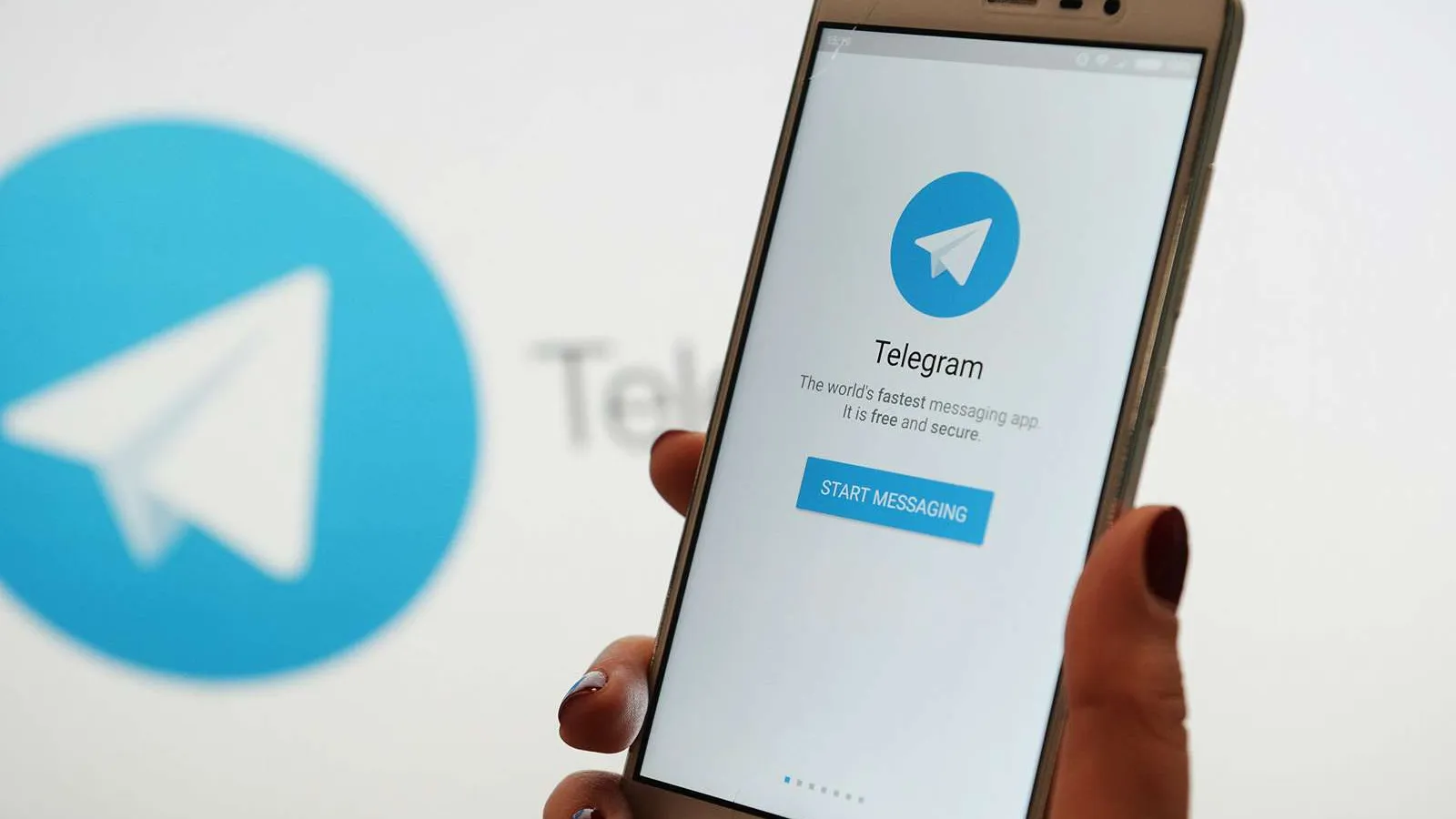 Telegram-бот для передачи информации СМИ запустили в Подмосковье | 360°