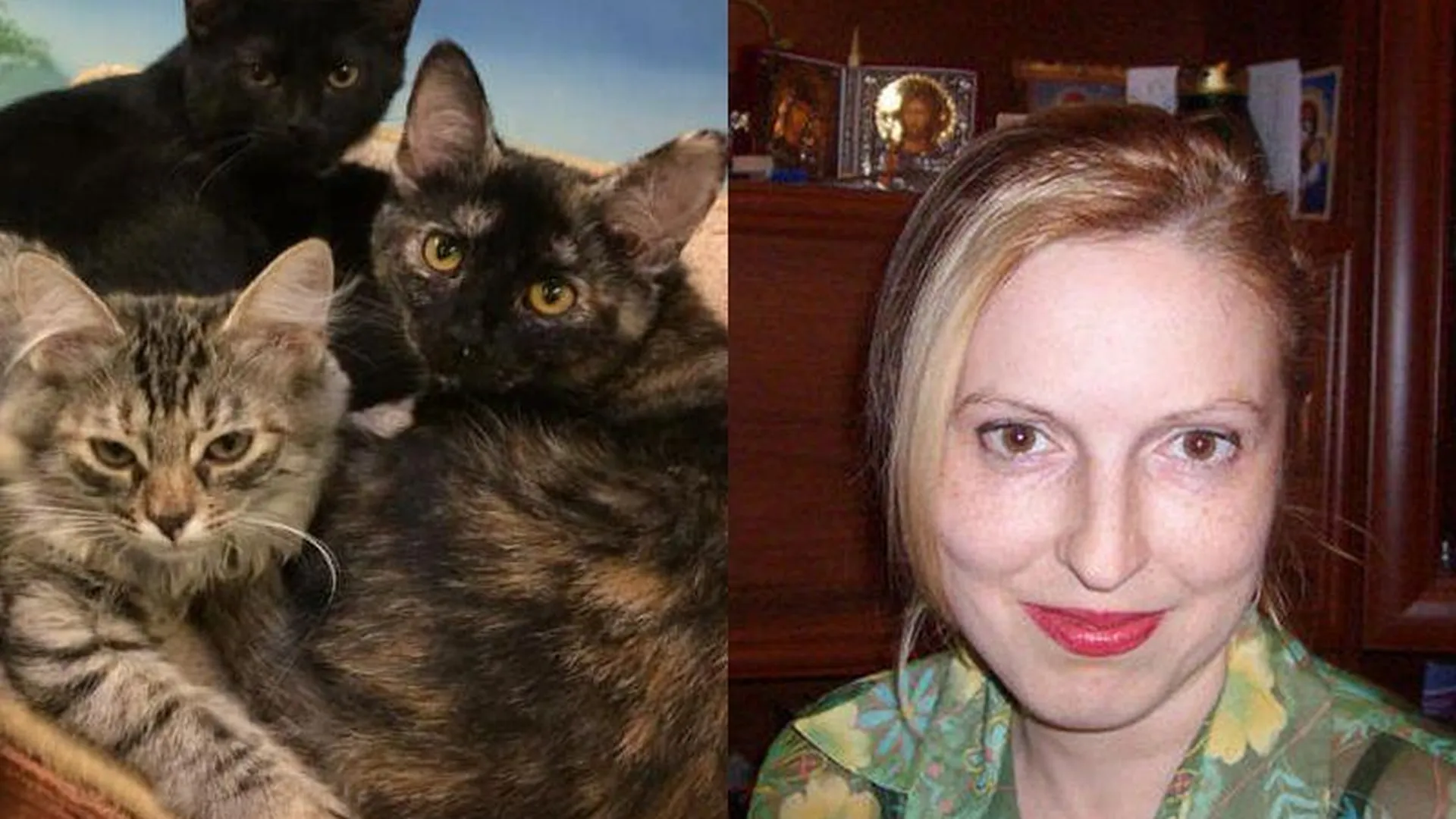 «Животные ни в чем не виноваты»: зоопсихолог из театра Куклачева помогает кошкам Донбасса
