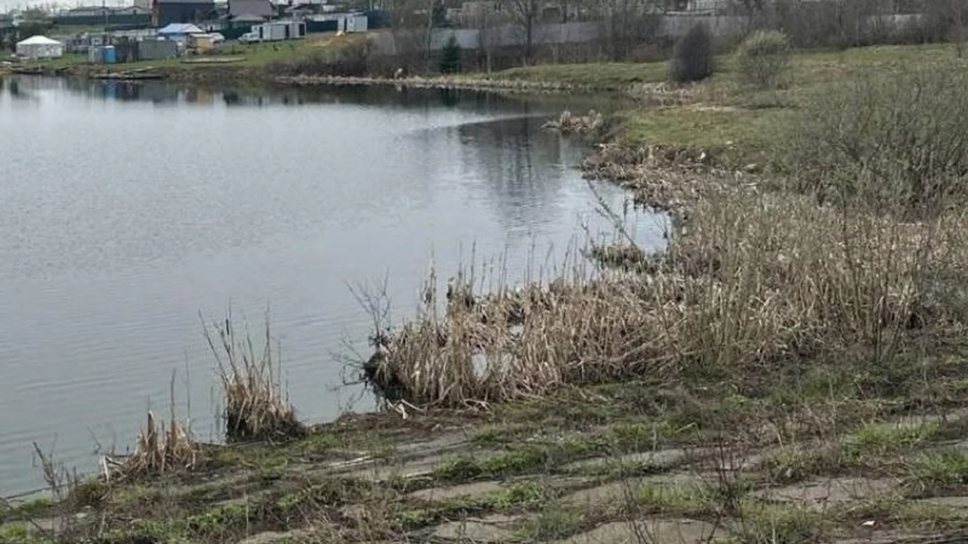 Загрязнение берегов реки Учи устранят в Щелкове