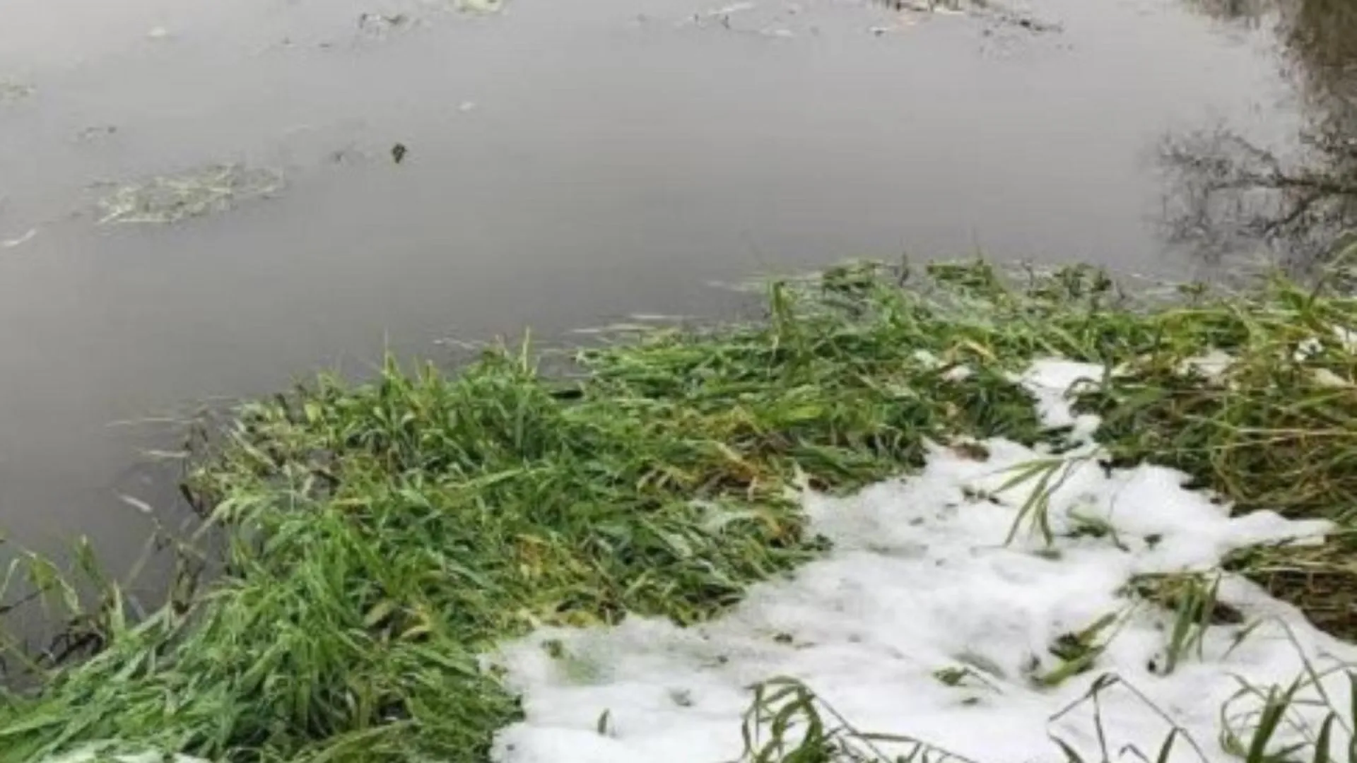 Сброс неочищенных сточных вод в ручей Малинец зафиксировали в Богородском округе