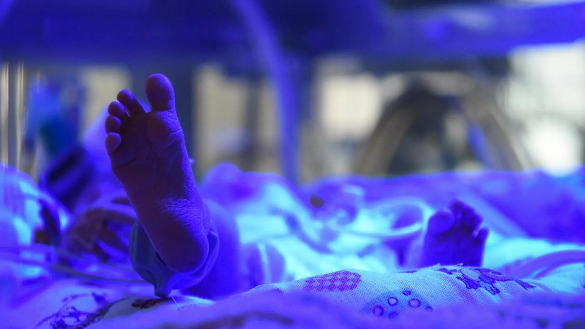 Семьдесят новорожденных с экстремально низкой массой тела спасли в Подмосковье с начала года