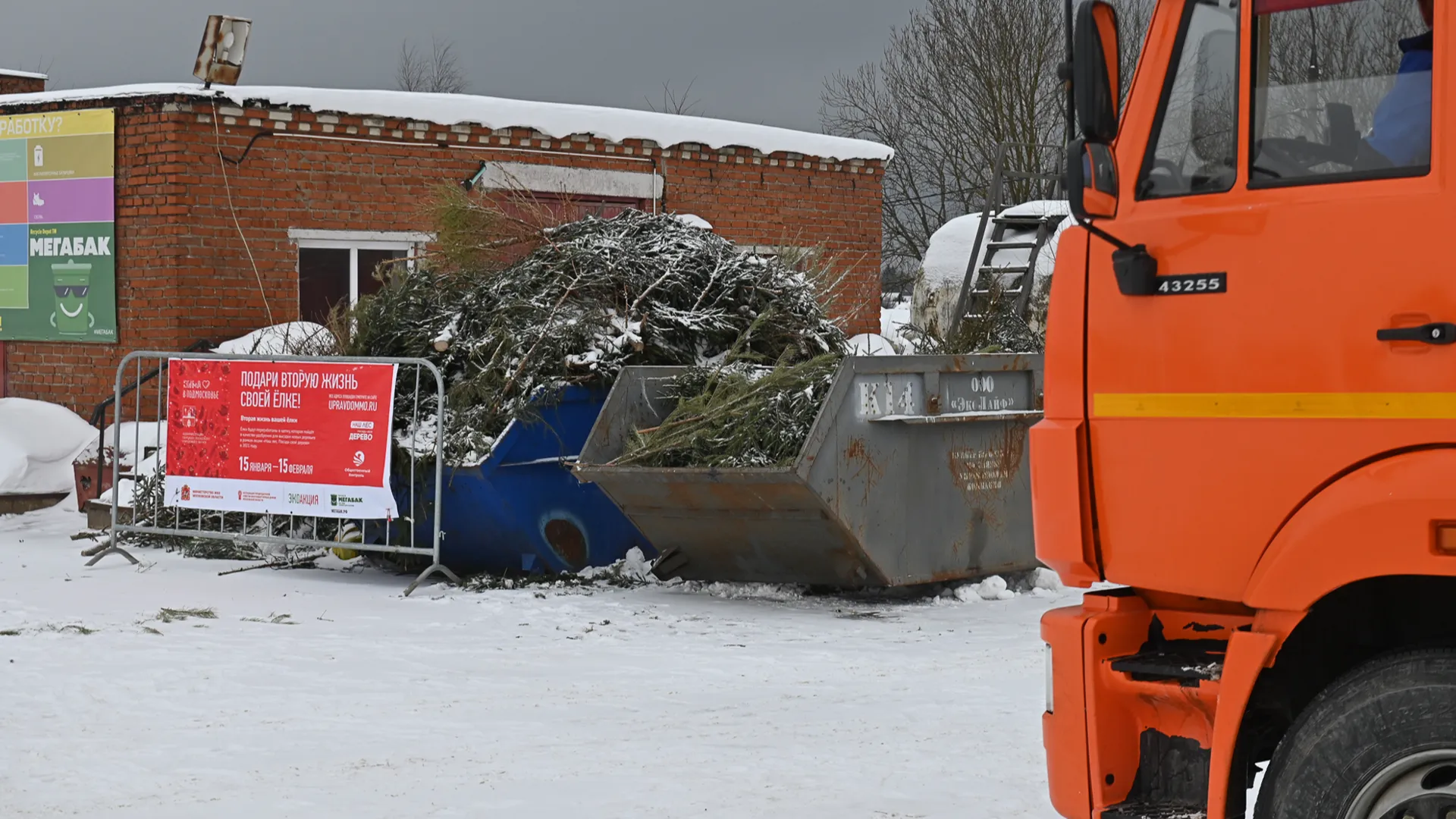 Площадки для сдачи новогодних елок на переработку будут работать в Городском округе Пушкинский