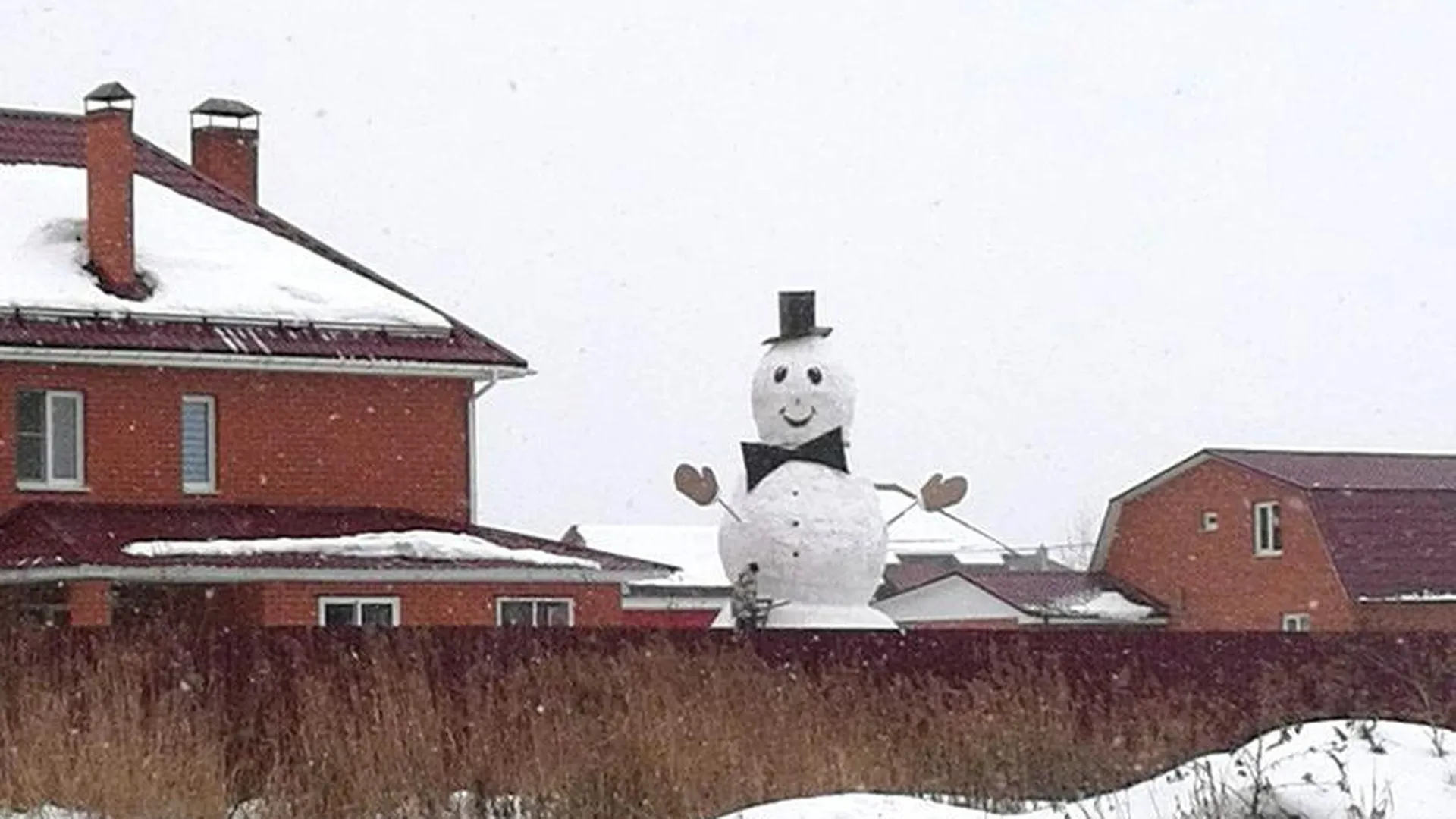 Снеговика высотой с двухэтажный дом слепила семья из Воскресенска