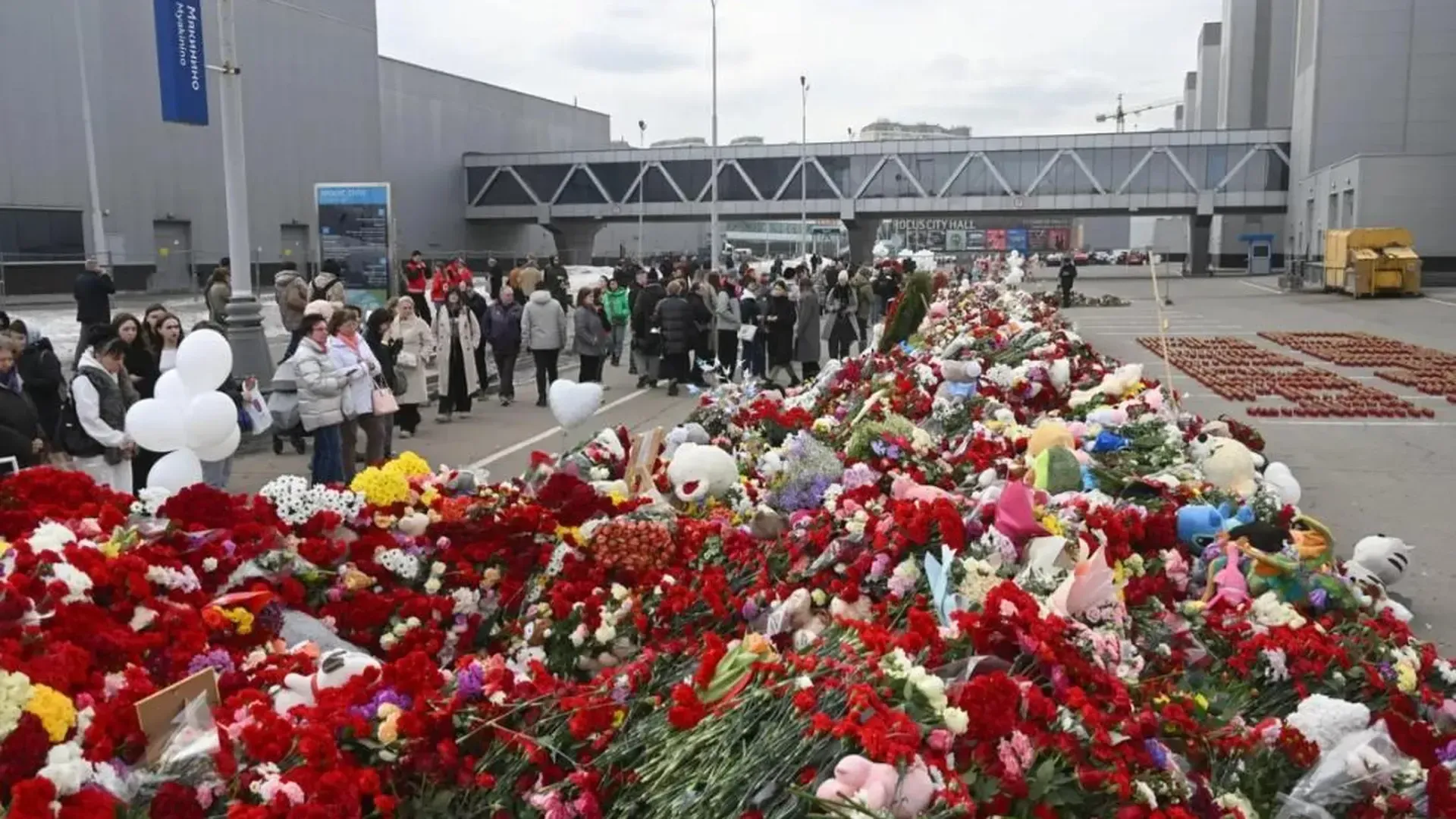 Зарубежные дипломаты почтили память жертв теракта в «Крокусе»