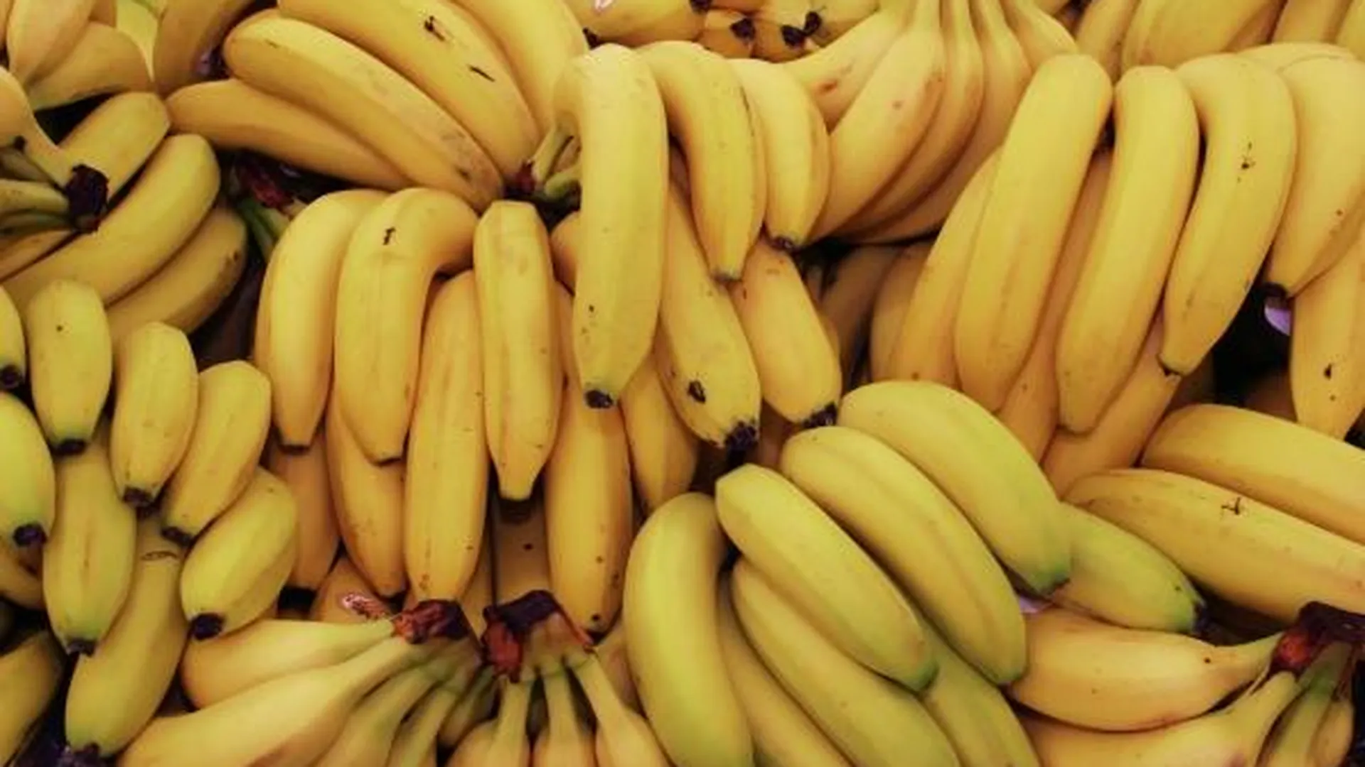 Диетолог назвал плюсы и минусы бананов разной степени зрелости