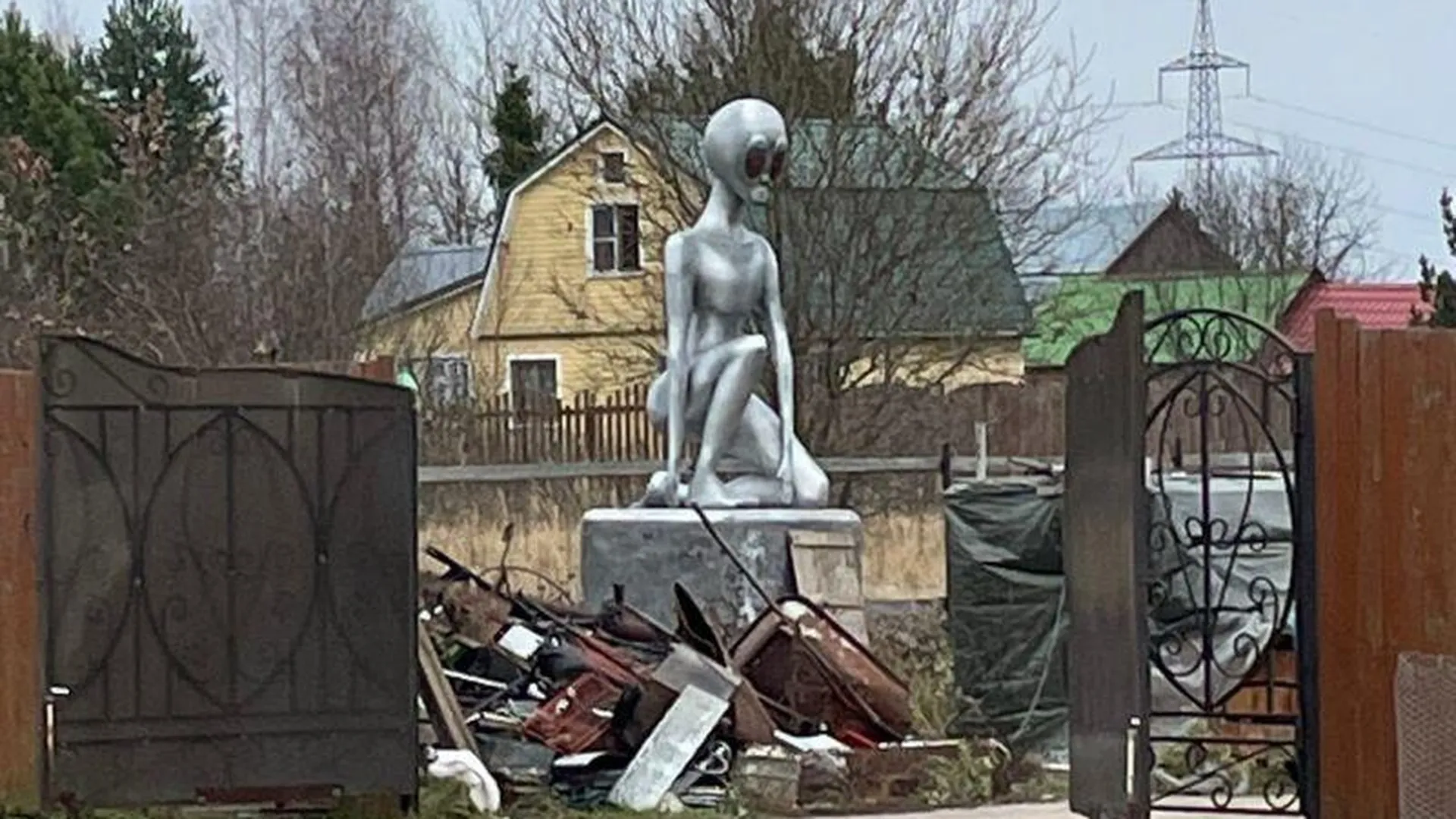 Пришельца в деревне под Солнечногорском встретил житель