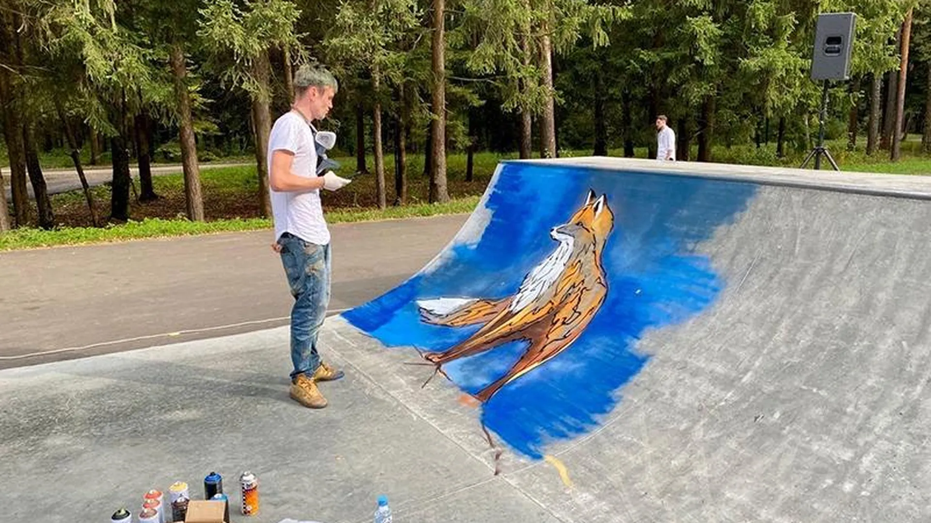 Уличные художники в Домодедово превратили рампы для экстремалов в арт-объекты