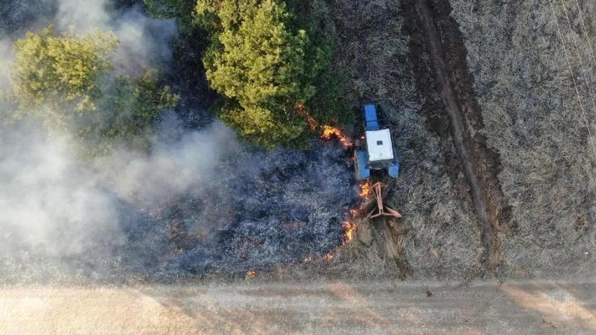 63 лесных пожара потушили в Подмосковье с начала пожароопасного сезона