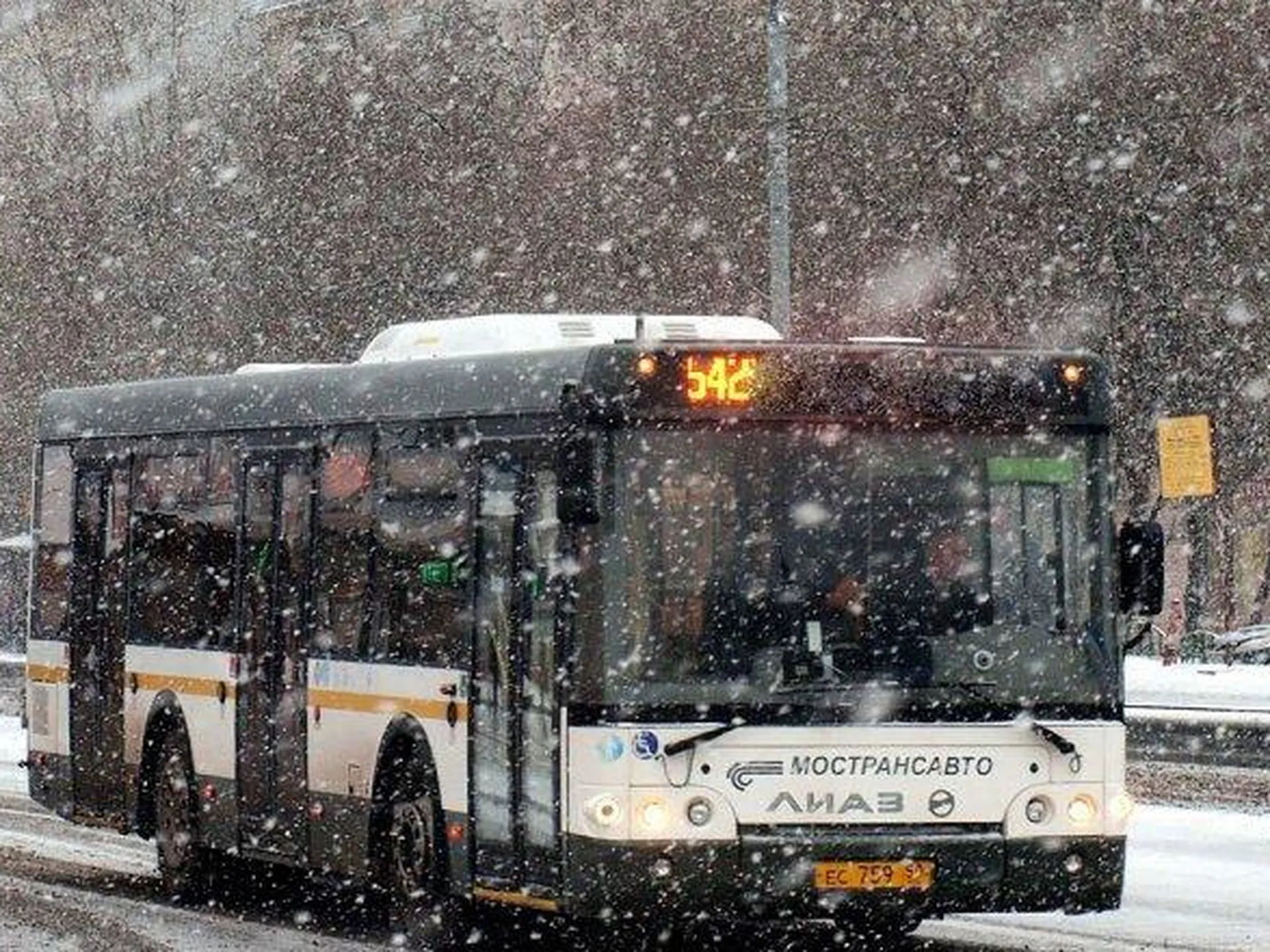 В связи с погодными условиями в Подмосковье задерживают автобусные рейсы