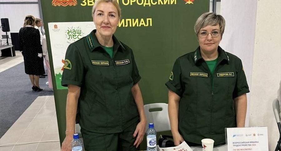 Сотрудники лесничества в Звенигороде поучаствовали в ярмарке вакансий