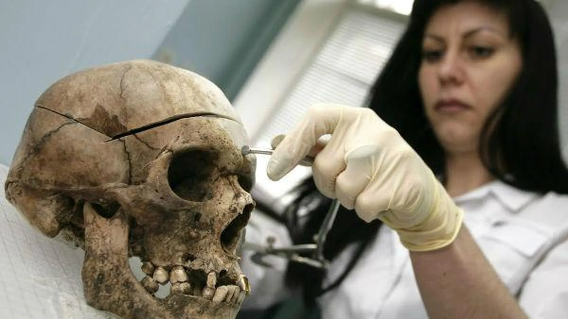 Человеческий скелет нашли в бесхозной бытовке в Пушкине