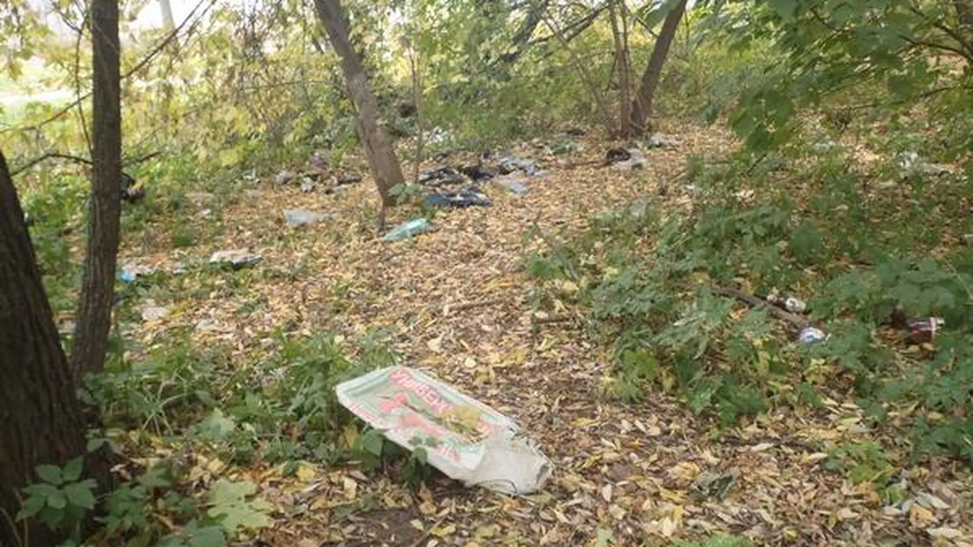 УК в Химках оштрафовали на 160 тыс за грязные придомовые территории
