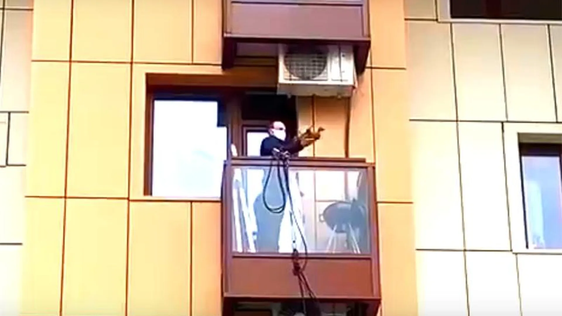 Жители Химок наняли альпиниста, чтобы спасти застрявшую на балконе утку