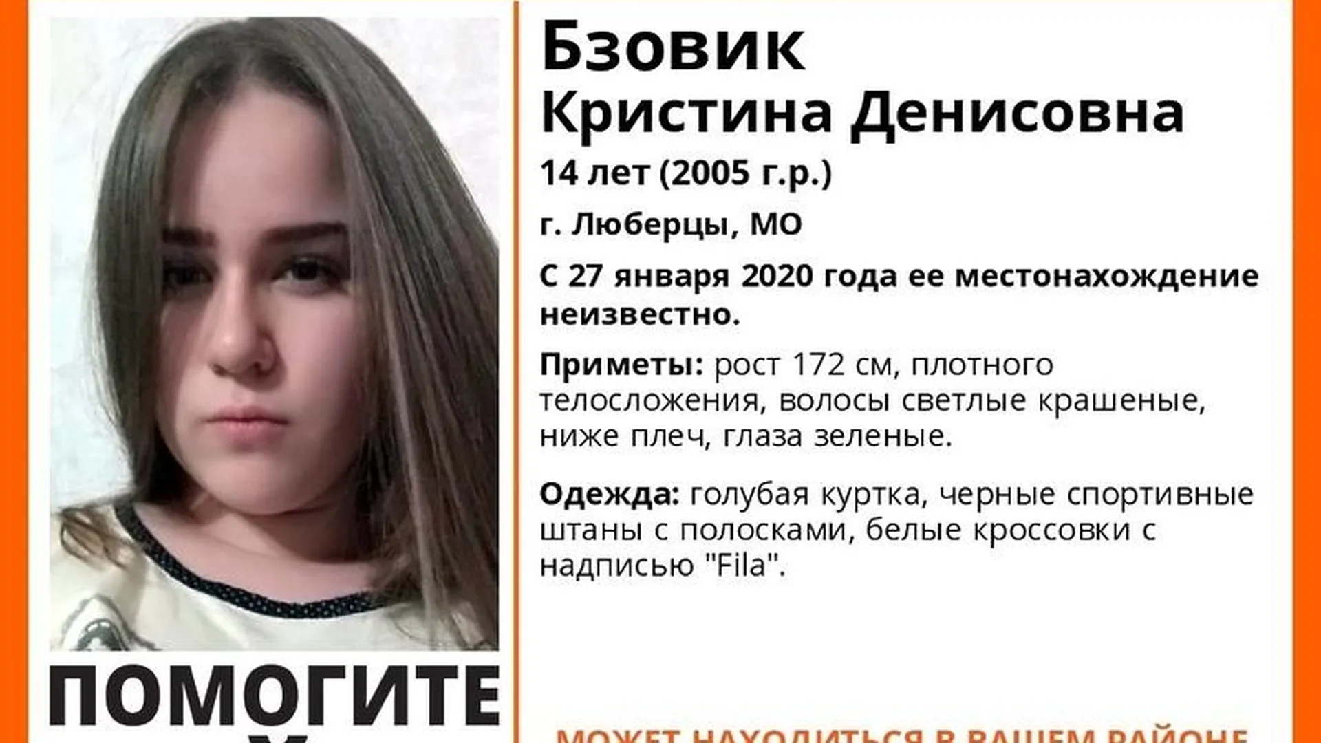 «Инфорг Лизаалерт» / «ВКонтакте»