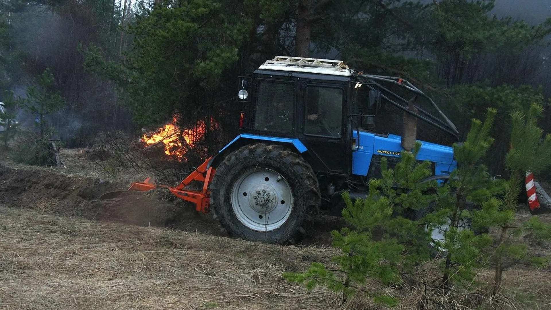 Третий класс пожарной опасности ожидается на всей территории Подмосковья в первые дни мая