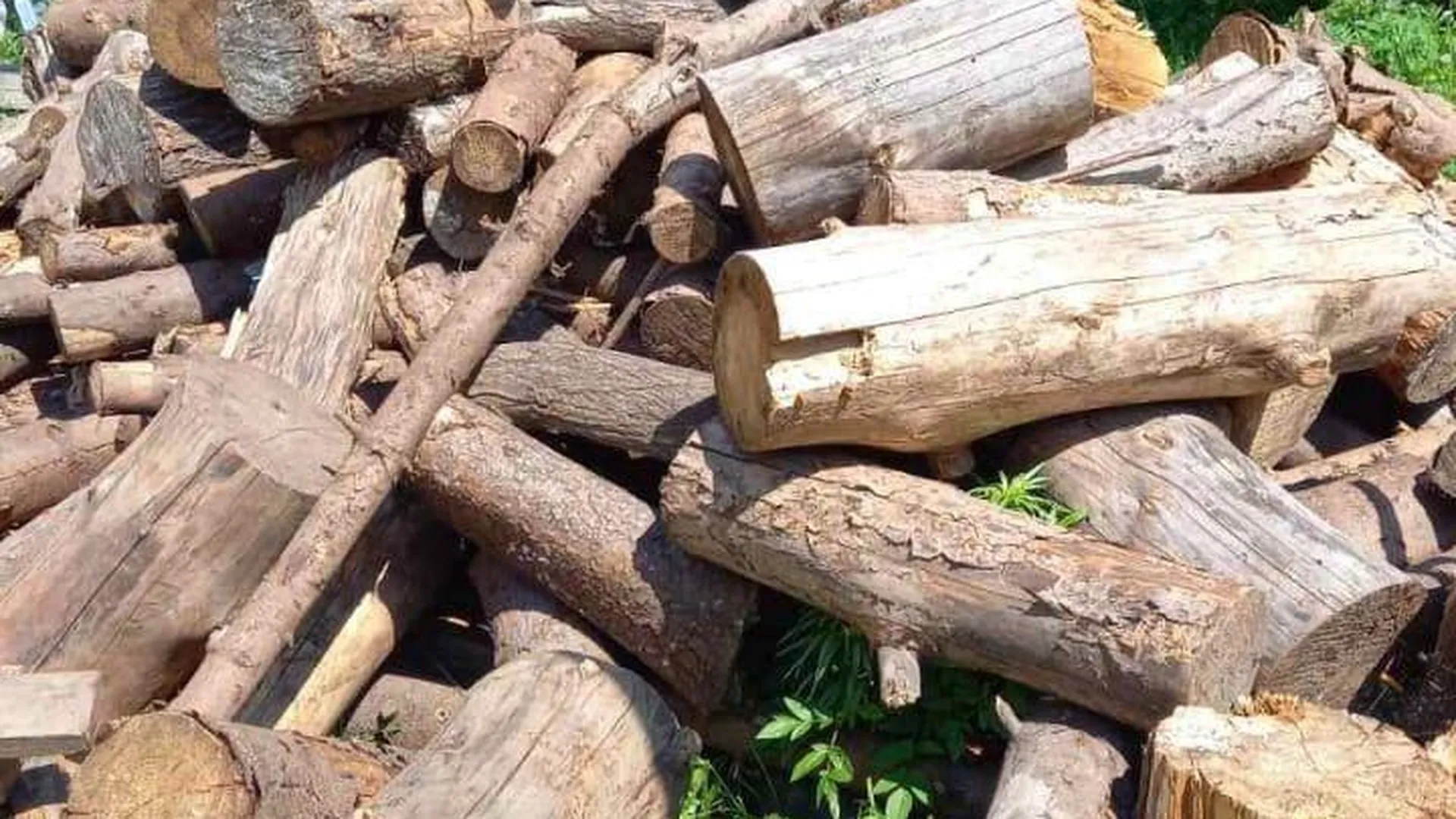 Активист из Вереи решил подарить жителям дрова