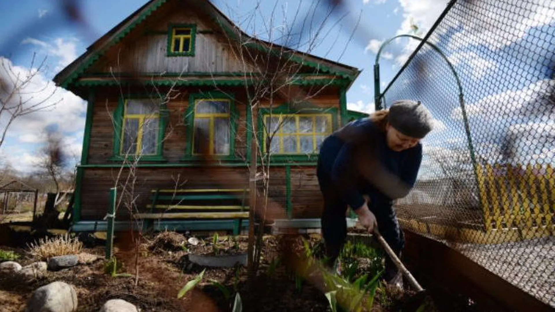 Бабушка-москвичка лишилась сбережений из-за лживых обещаний директора стройфирмы отремонтировать ее дачу