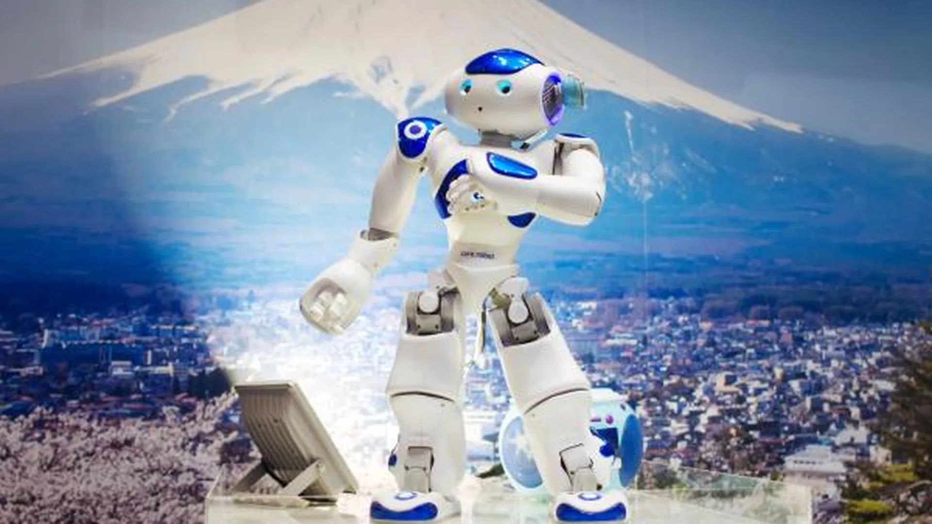 Разбирать АЭС в будущем будут роботы-прислужники - Росатом