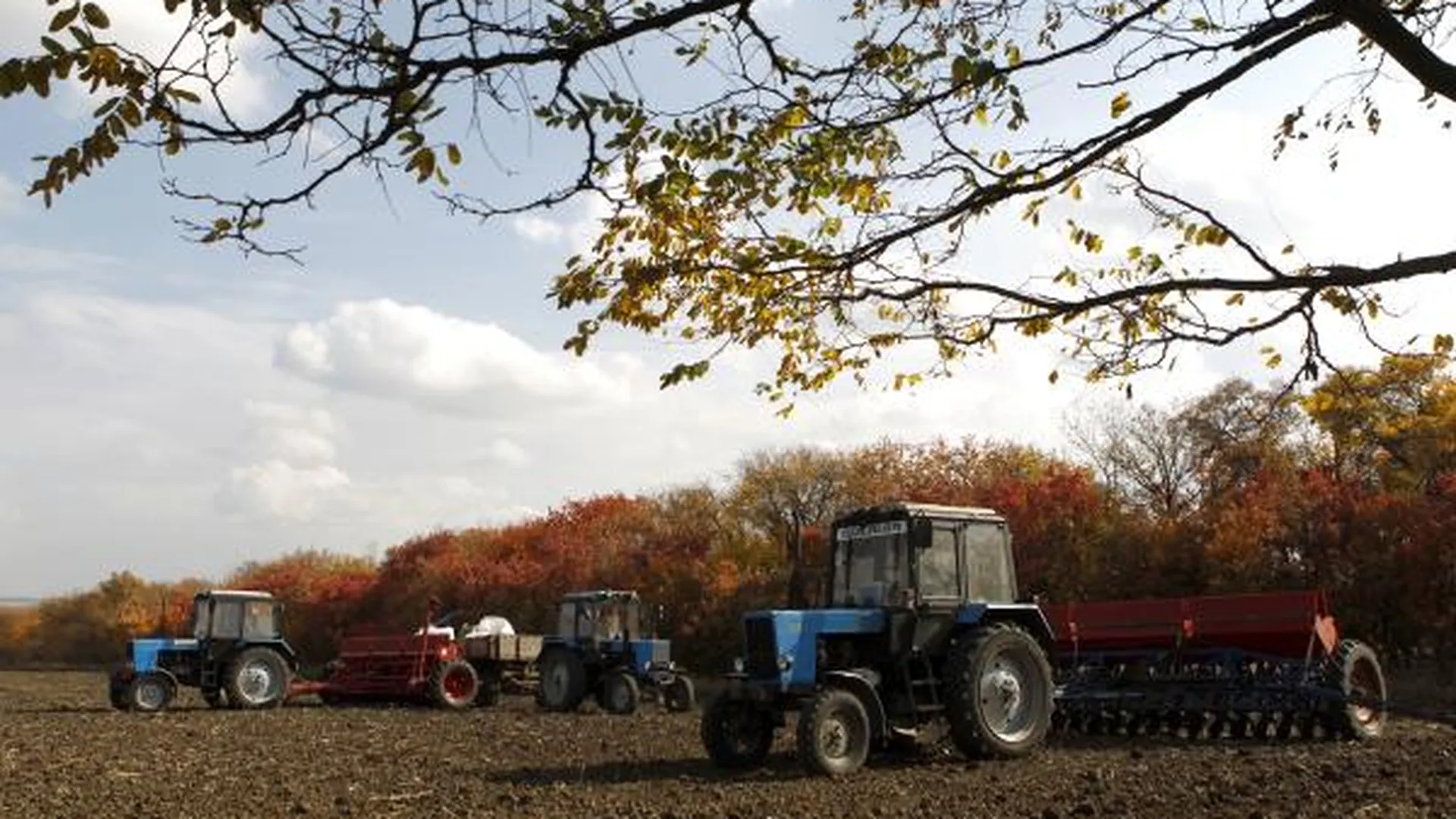 Используемые не по назначению сельхозземли МО могут изъять в 2015 г