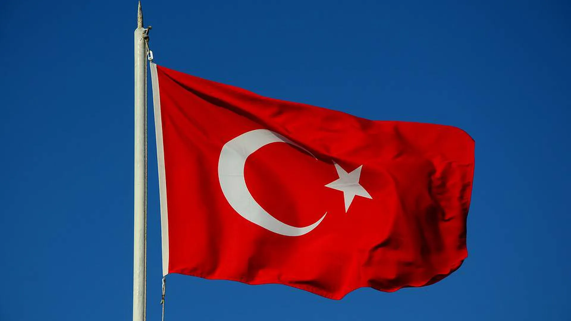 Суд в Турции освободил из-под стражи арестованных по делу о поджоге леса россиян