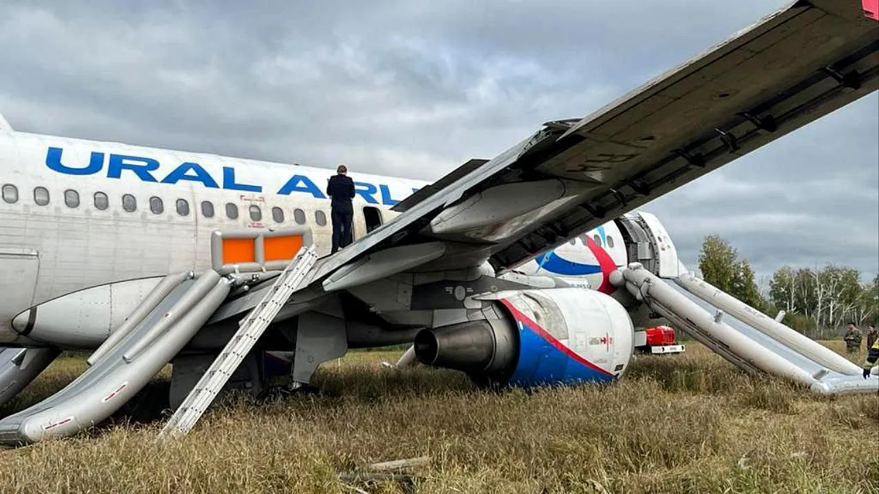 «Проверят и вернут в строй»: авиаэксперт рассказал о дальнейшей судьбе экстренно приземлившегося в поле Airbus